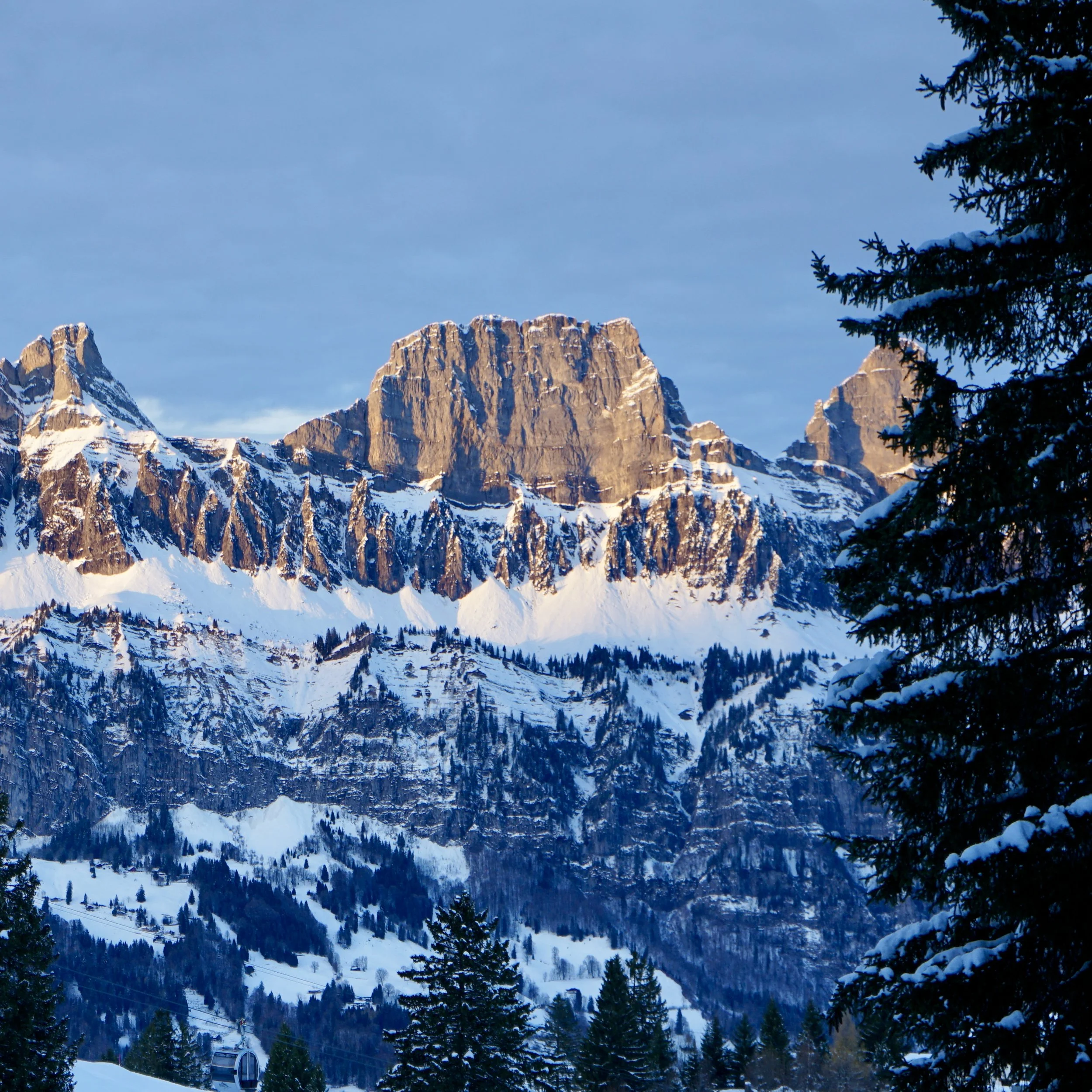 SILENT ALPS, IN THE LIGHT