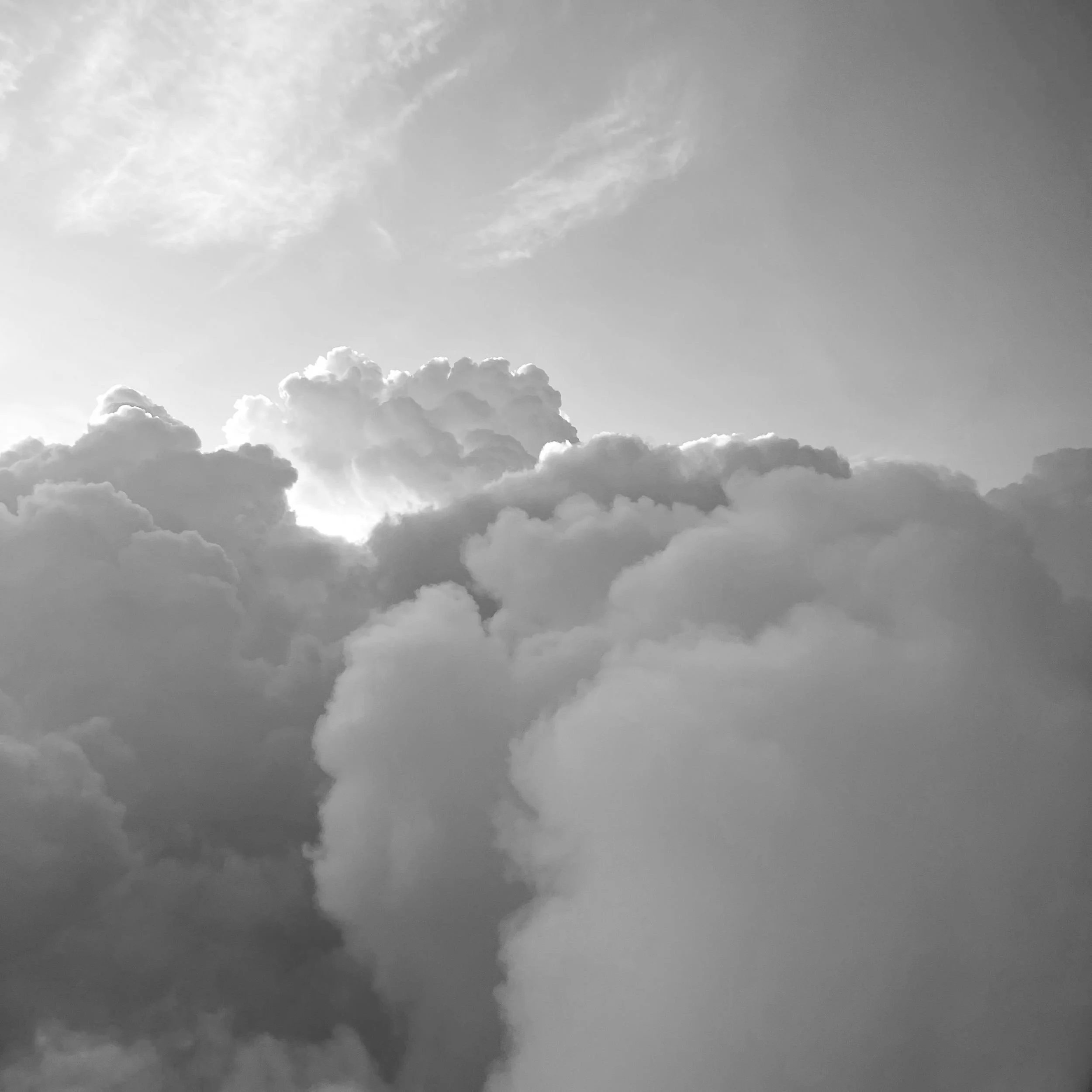 IMG_7830_bw_new.jpg