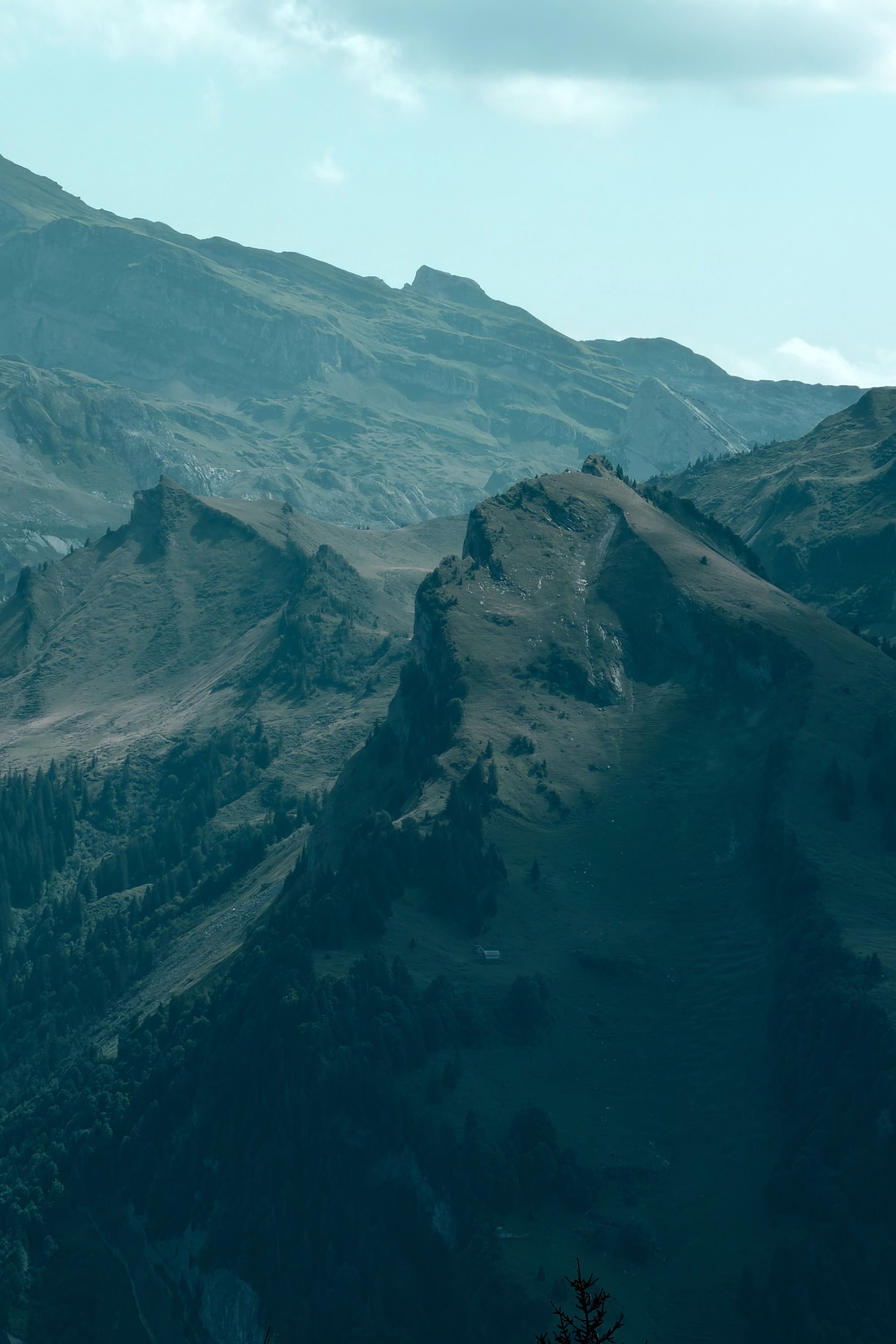 THE ANCIENT ONES, THE RIDGE