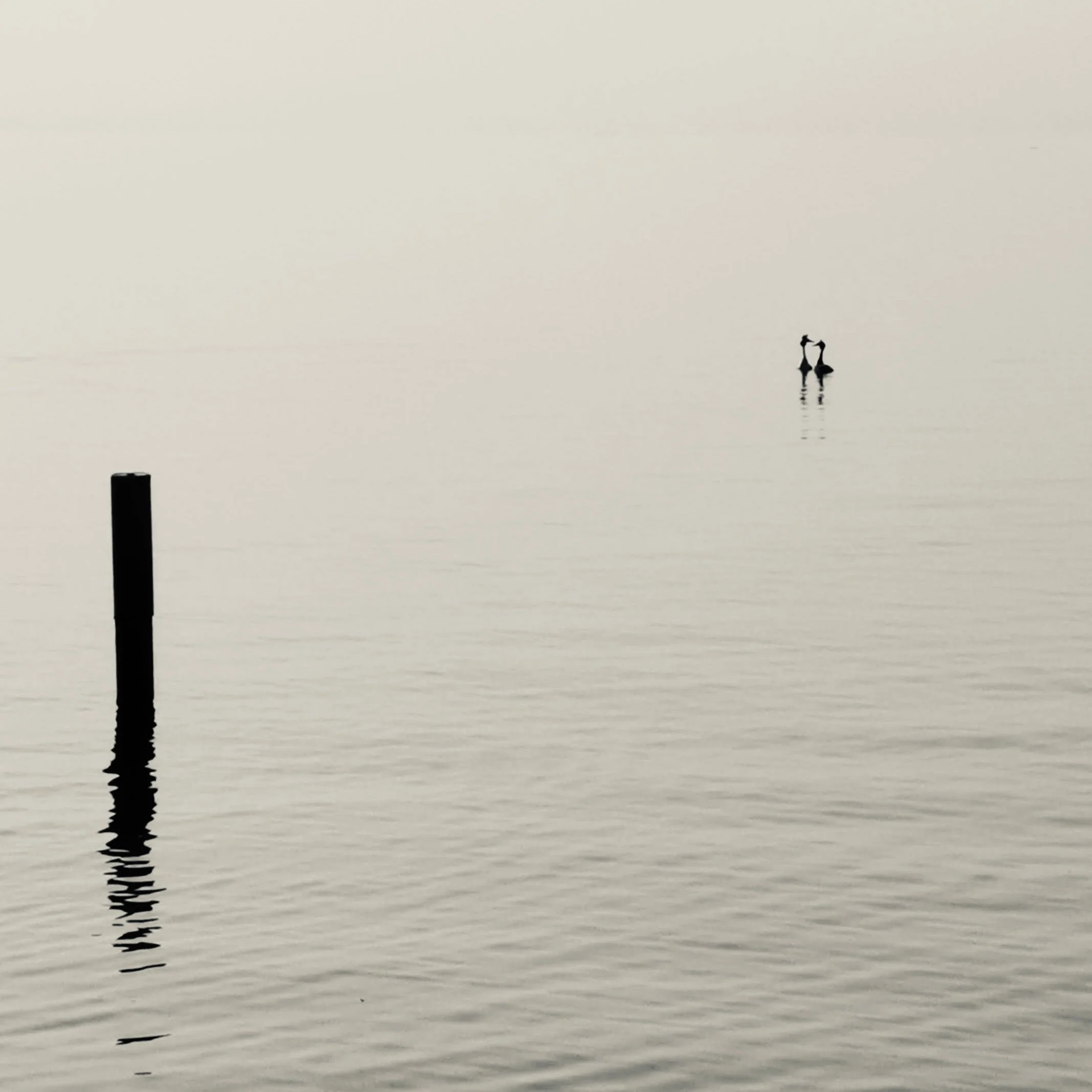 Carried together in silence