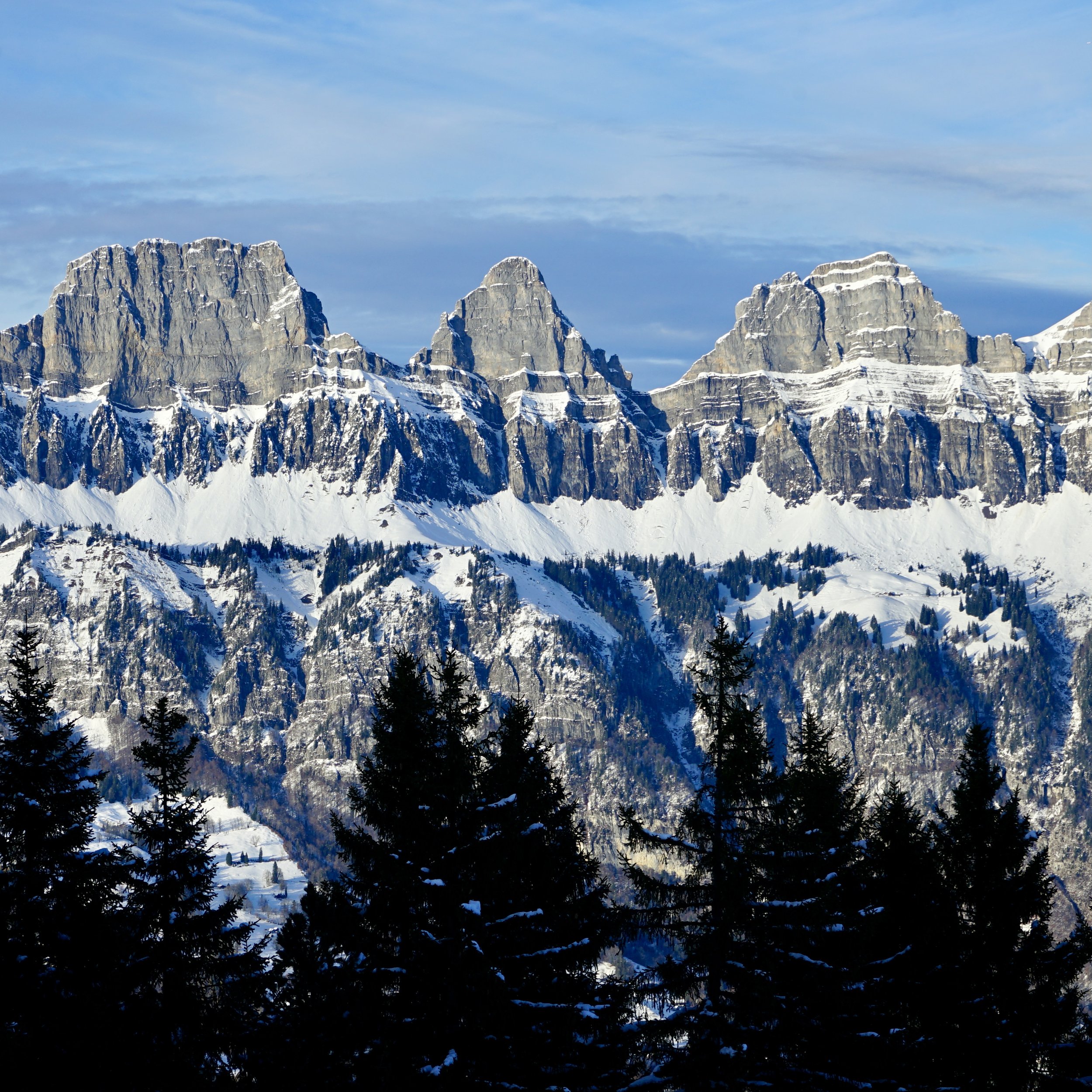 SILENT ALPS, IN THEIR BEING