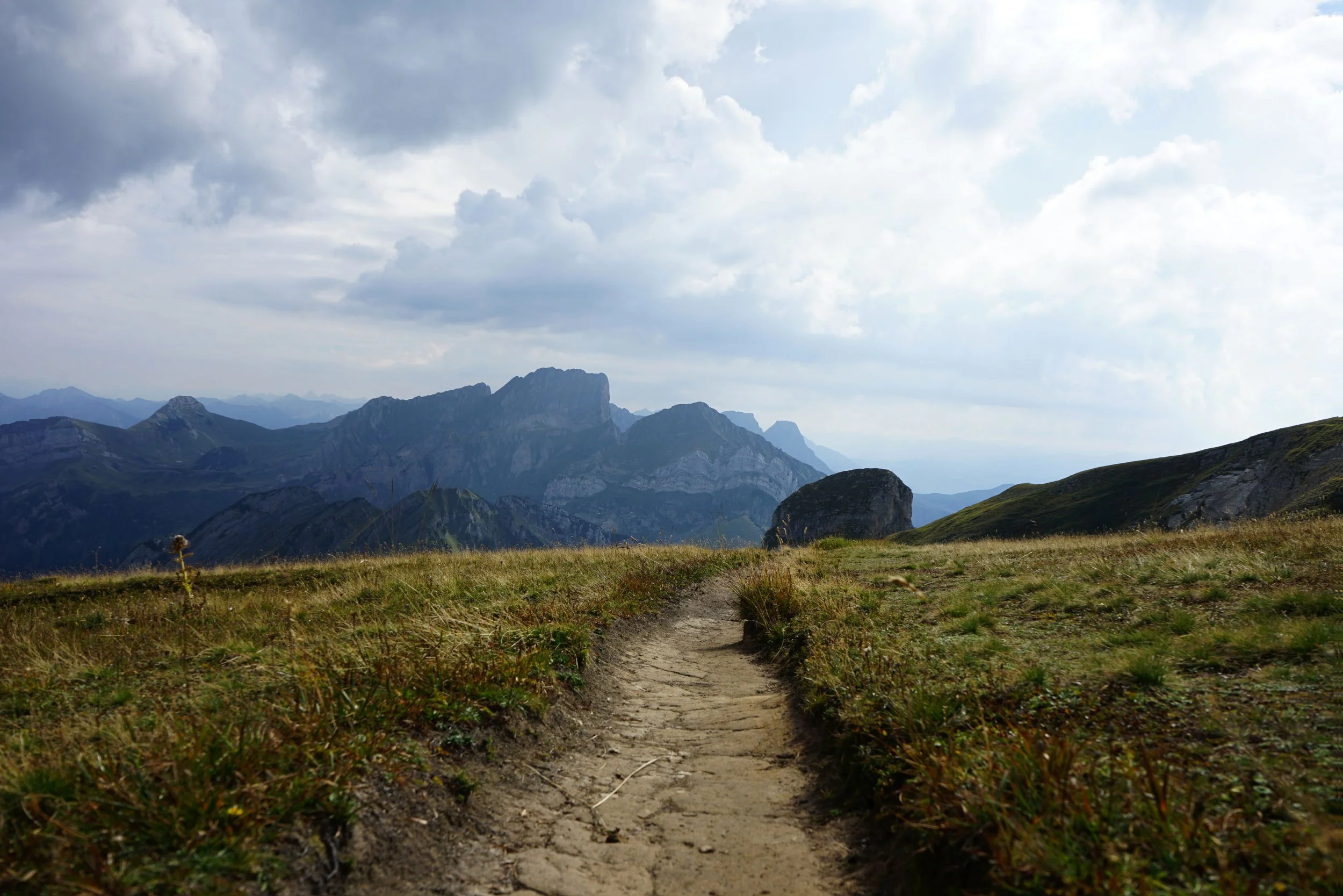 TOWARDS, WHERE BEAUTY LEADS