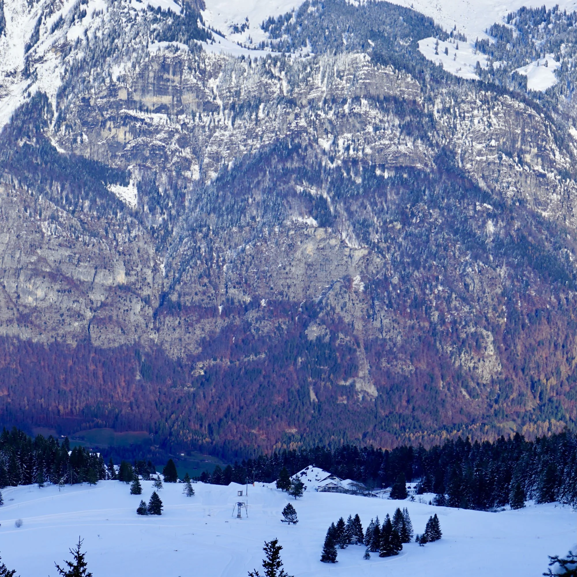 SILENT ALPS, BETWEEN COLOR AND WINTER