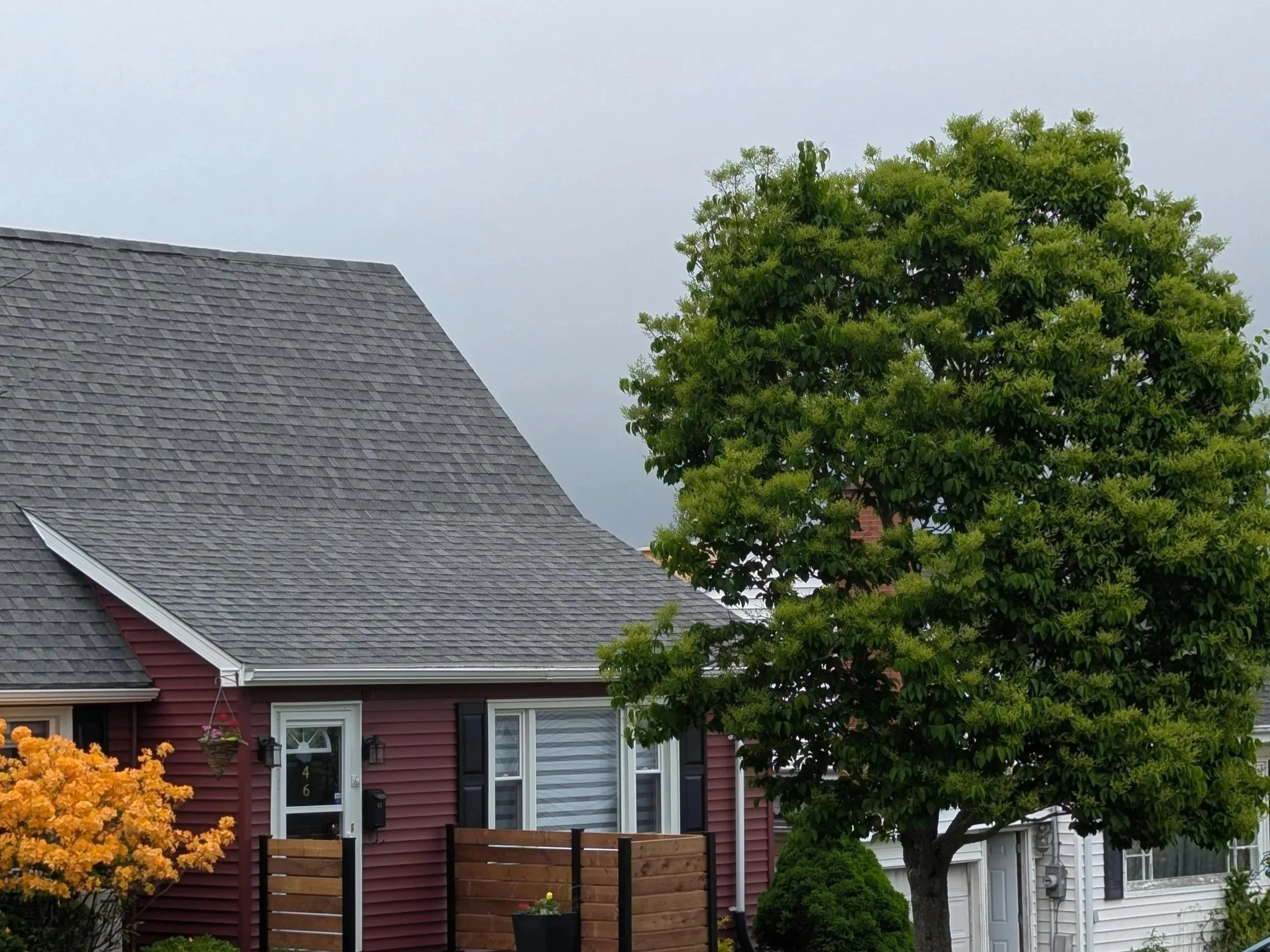 Why Brockville Homeowners Are Choosing Roof Restoration Over Replacement