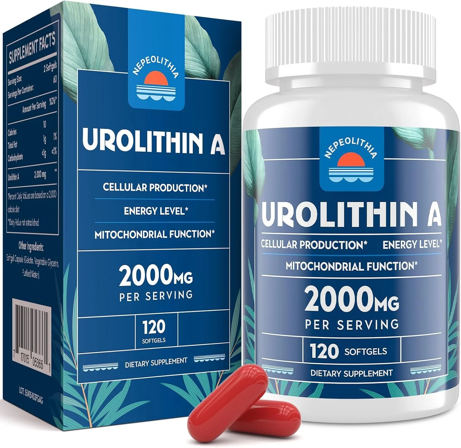 Urolithin A 2000mg, Gluten Free, 120 Softgels (2 Months Supply)