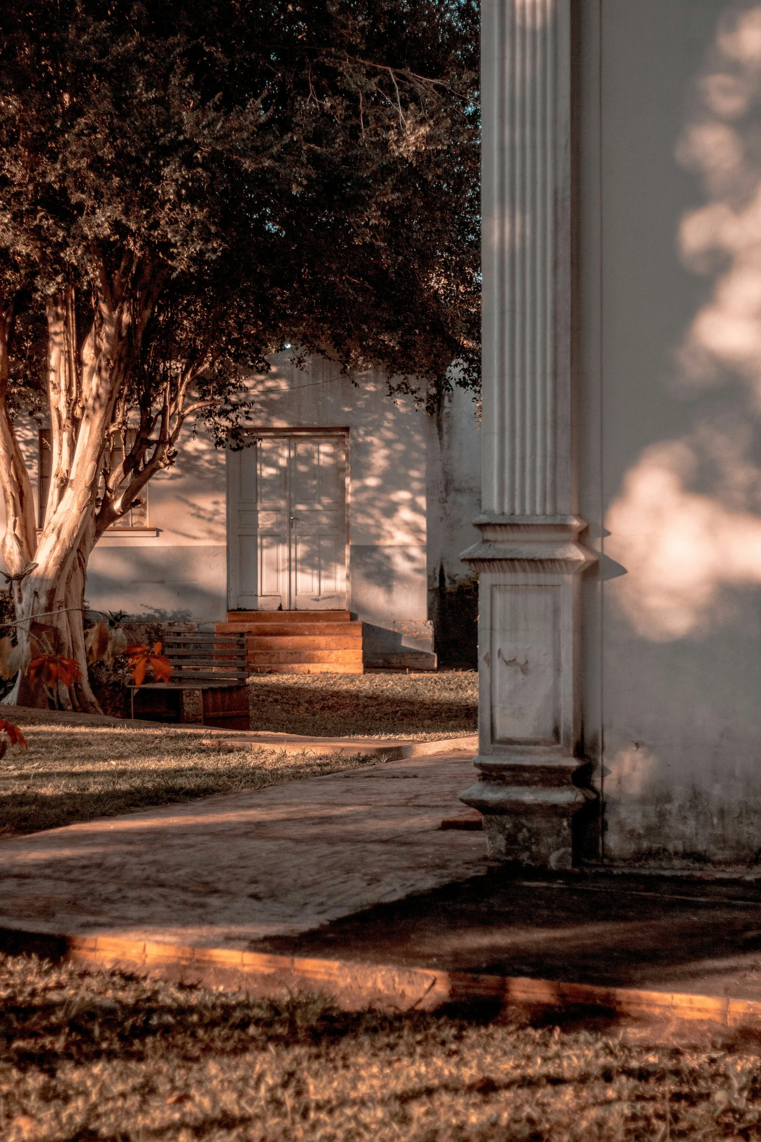 The Space Between Roles