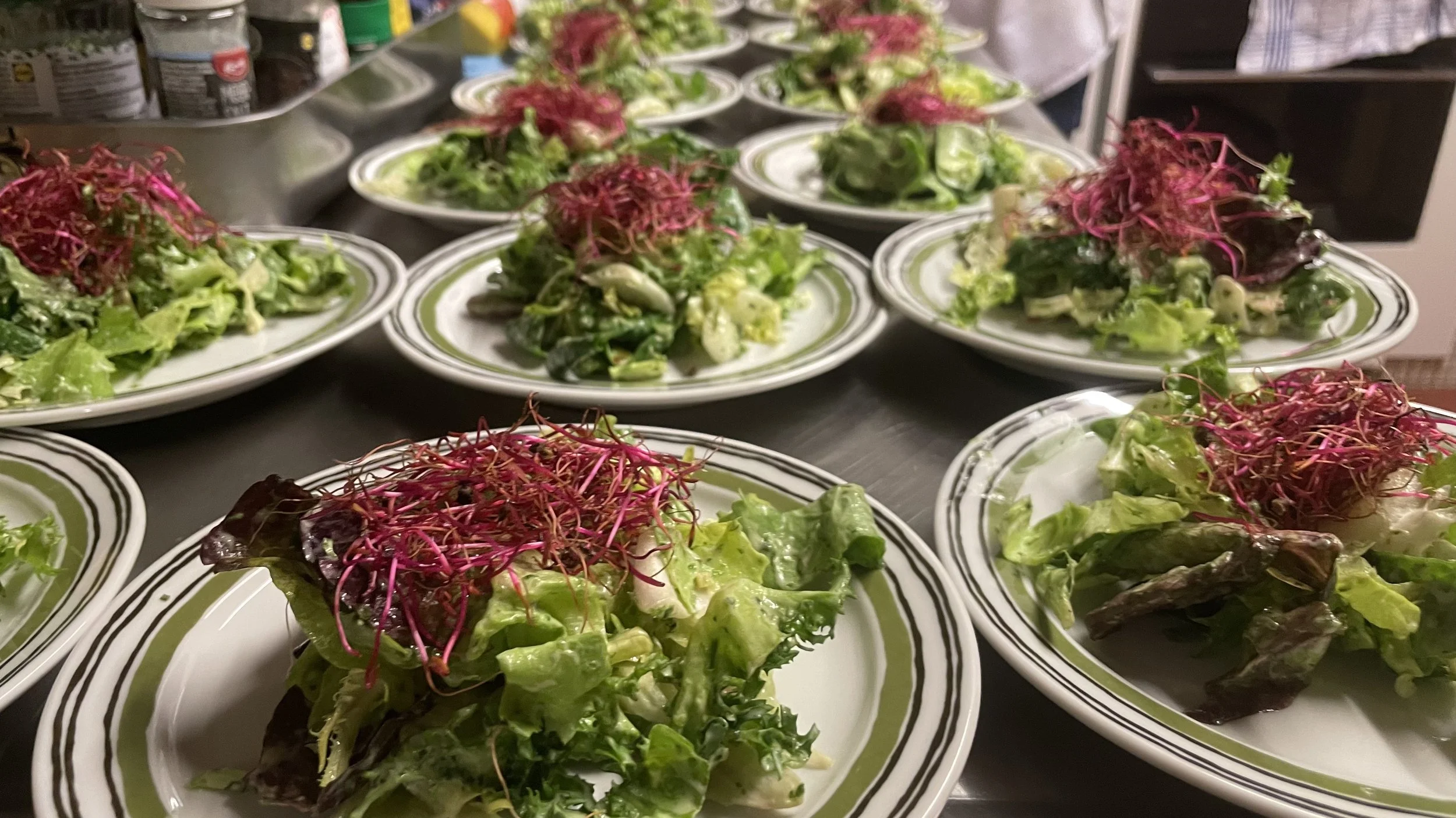 Salatenteller mit gemischtem Salat und roten Sprossen