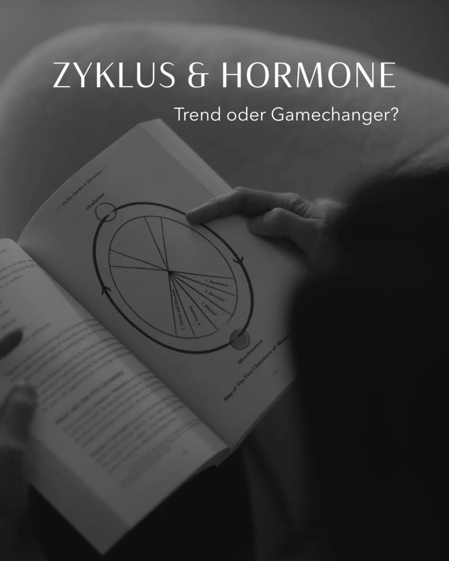 In der Online-Welt dreht sich so vieles um Zyklus, Weiblichkeit, Hormonungleichgewichte, Hormon Resets und so weiter. An jeder Ecke lauert der ultimative Hormonhack 🤯 

Zum Gl&uuml;ck gibt es mittlerweile so viel zug&auml;ngliches Wissen, ja! Aber i