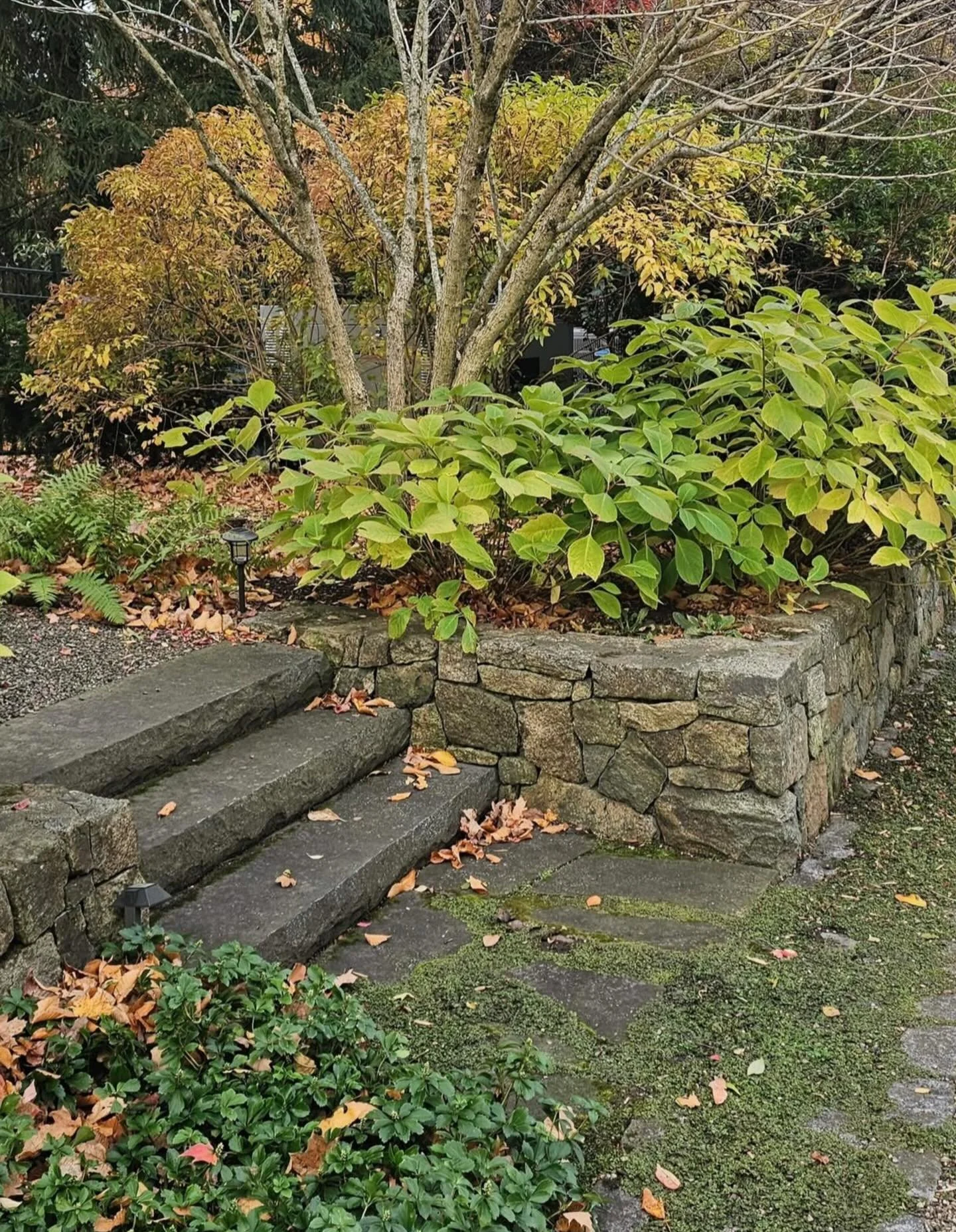 Fall clean-ups are still in full swing! 🍂🍃

We&rsquo;ve got a few spots left &mdash; book yours now and head into winter with a yard that&rsquo;s clean, clear, and ready for the season.

#DelisLandscaping #FallCleanup #SeasonalServices #NJLandscapi