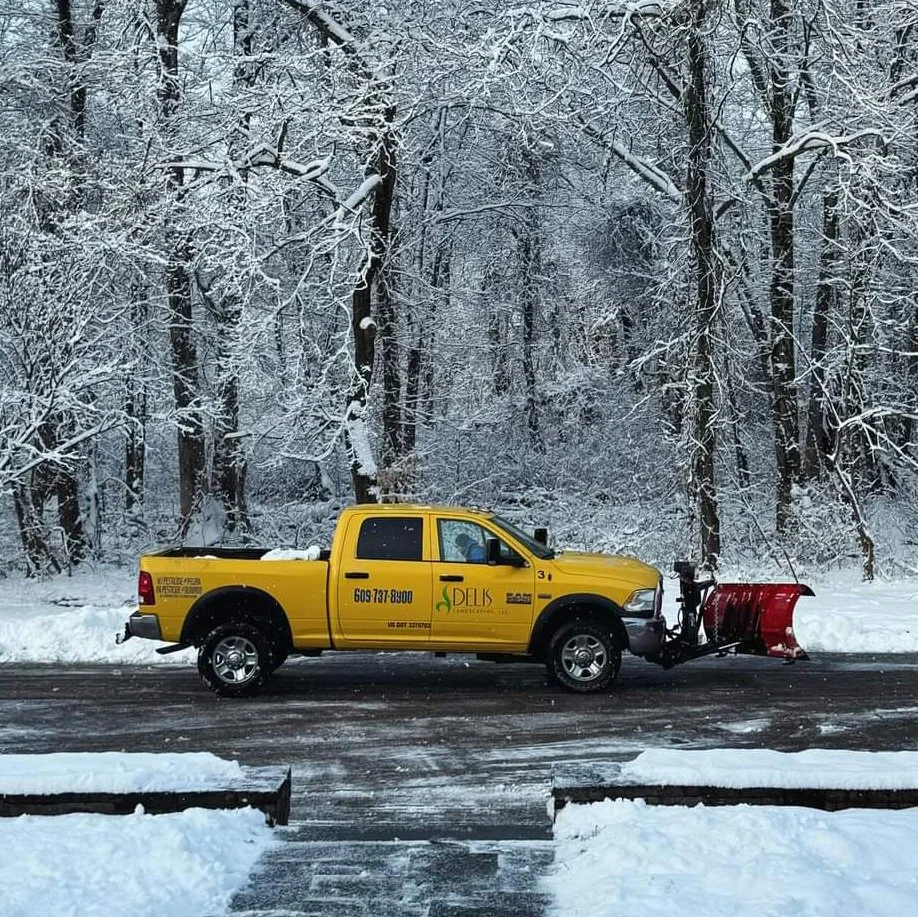 Snow Removal