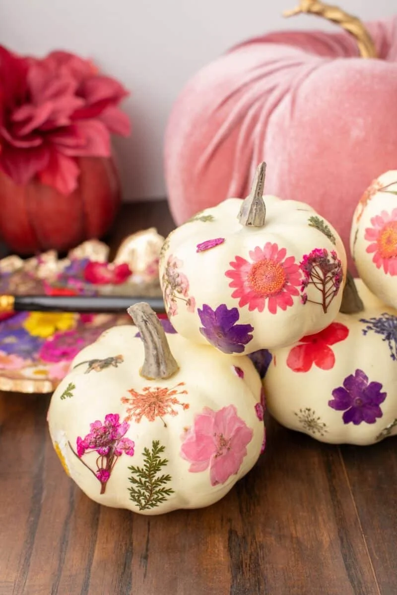 pressed-flower-pumpkins5-800x1200.jpg