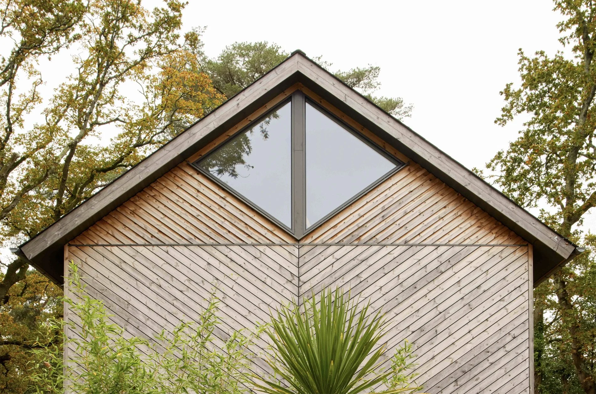 Ecologic-Sustainable-structures- Quietly-Sourced-Ferndown-Facade.jpg