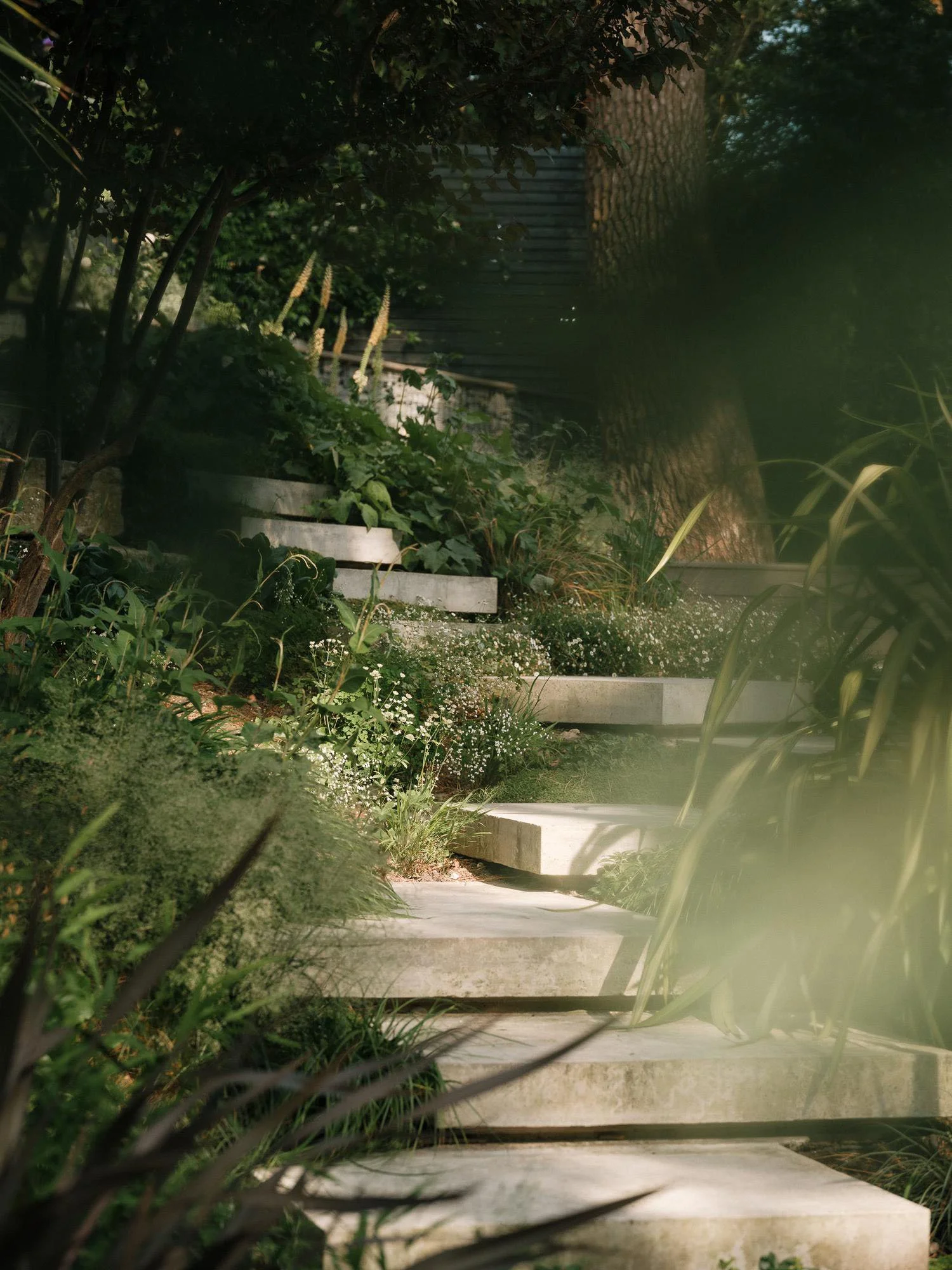 Quietly Sourced-Lottie Delamain-Landscape designer-studio-Somerset 6.jpg