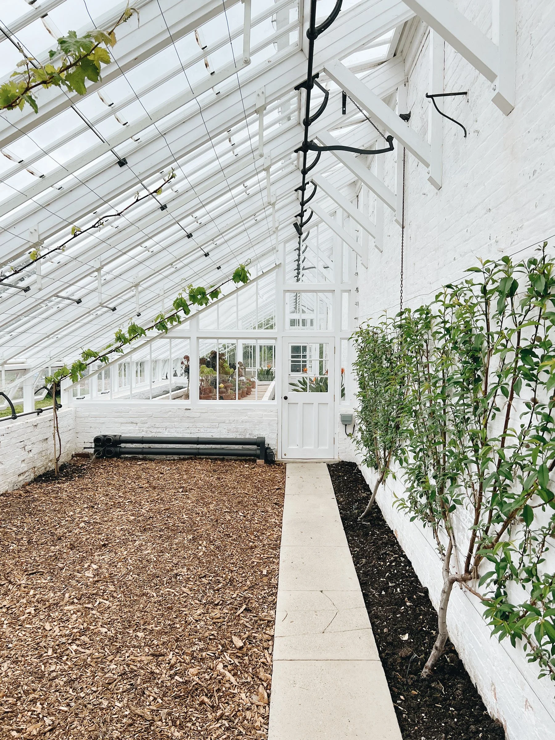 Quietly Sourced-Kingston Lacey-Wimborne-Dorset1.jpg