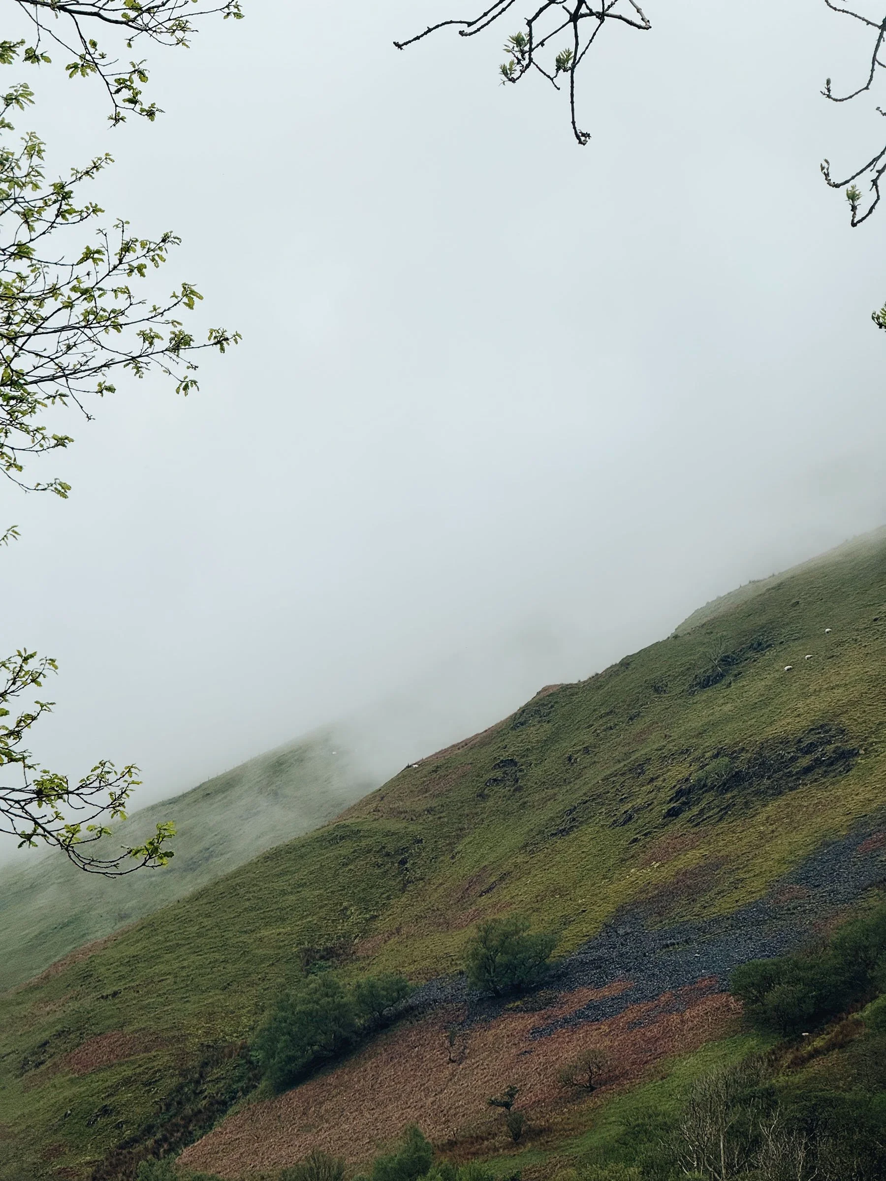 Quietly Sourced-Snowdonia-6.jpg