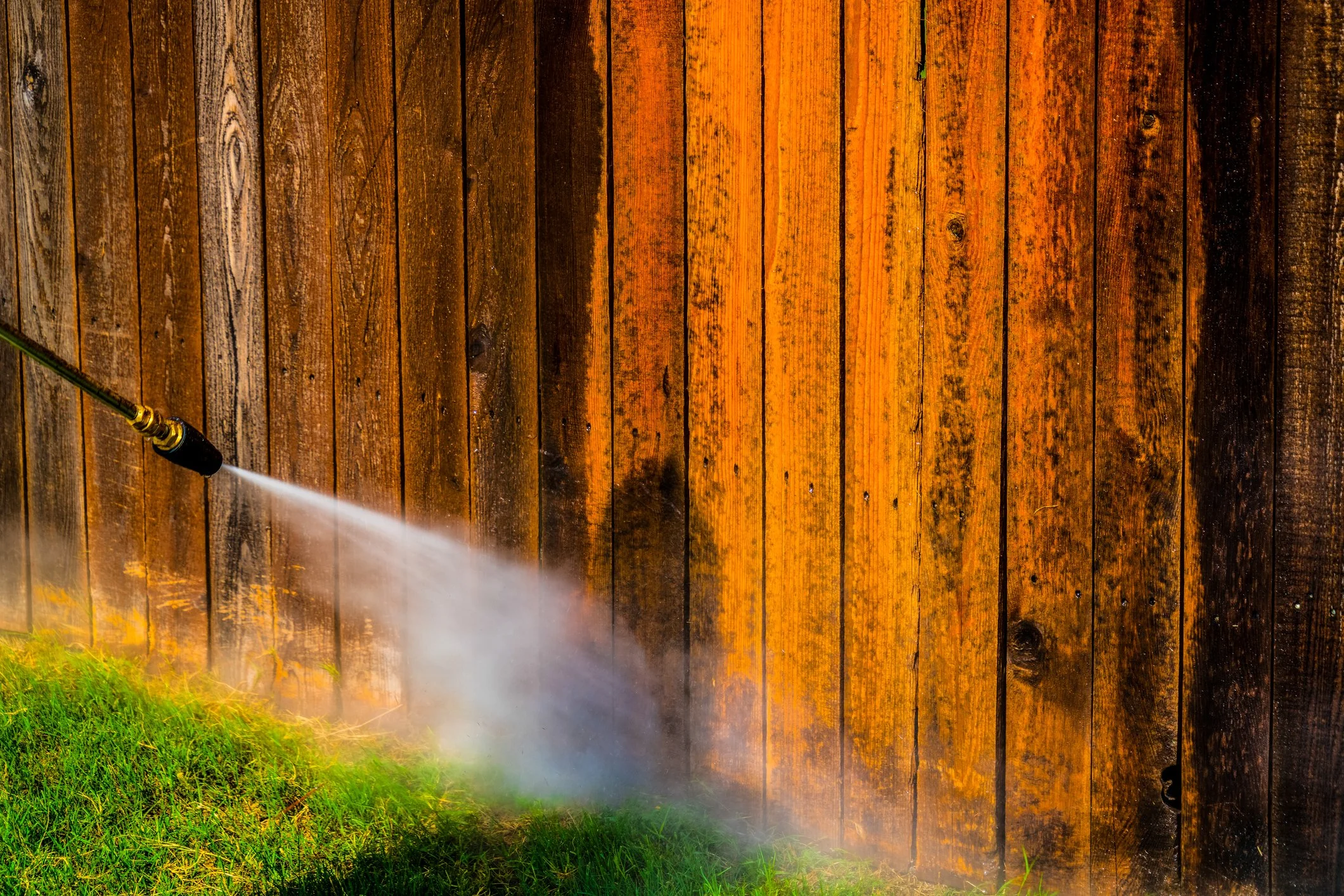 A garden hose with a spray nozzle watering green grass in front of a weathered wooden fence.