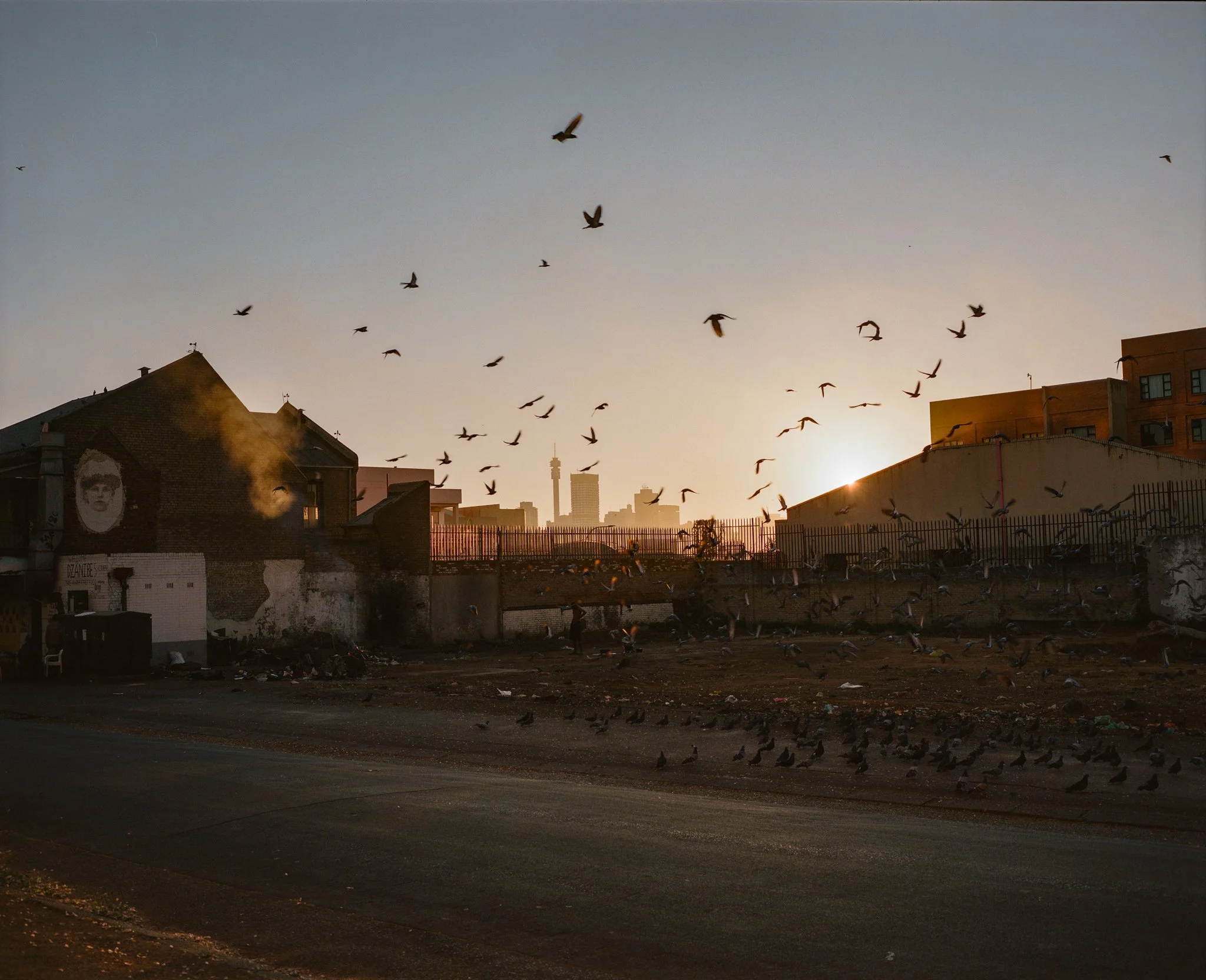 A 120mm film picture of an urban scene at sunset with a flock of birds flying over buildings, some birds on the ground, and the Johannesburg skyline in the background.