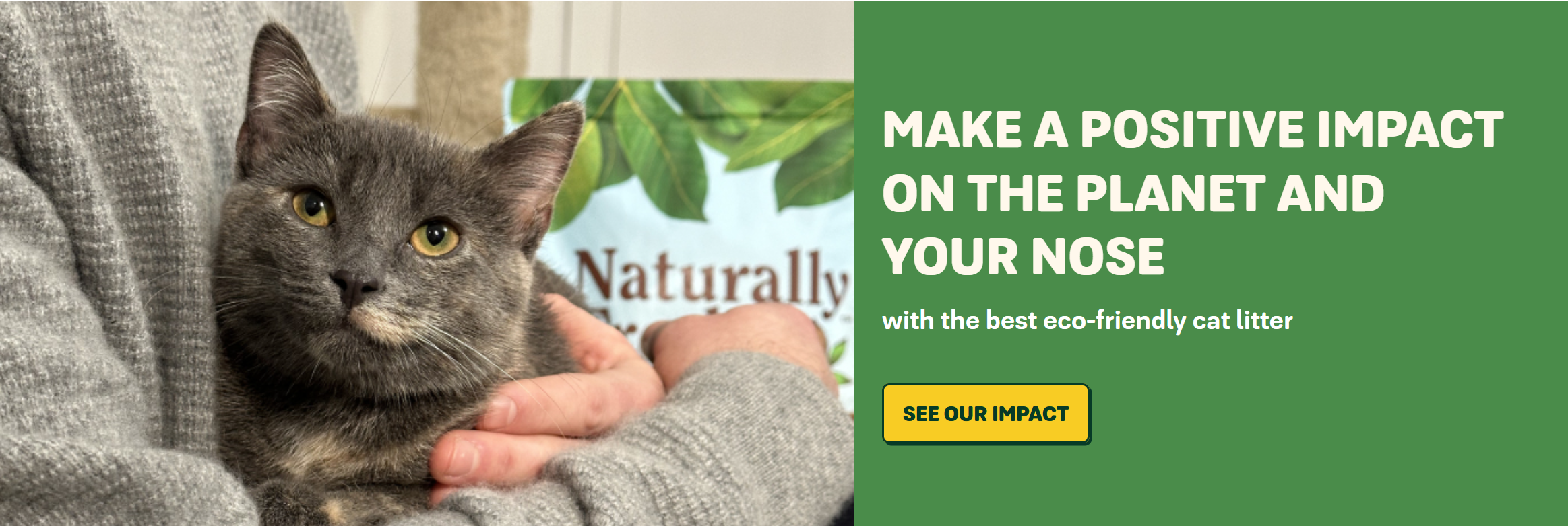 A gray tabby cat being held by a person wearing a gray sweater, with a sign in the background that says 'Naturally' and a green banner with the text 'Make a positive impact on the planet and your nose with the best eco-friendly cat litter' and a yellow button that says 'See Our Impact'.