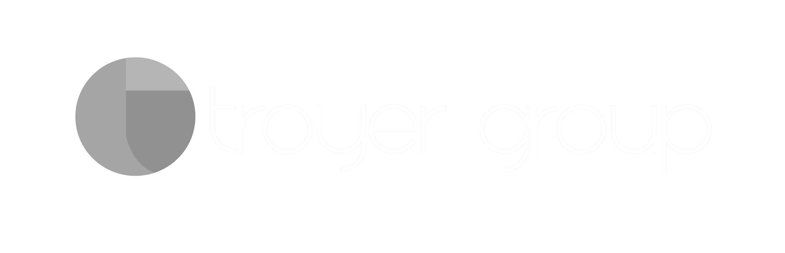 Logo of Truyer Group with a circular symbol and stylized text