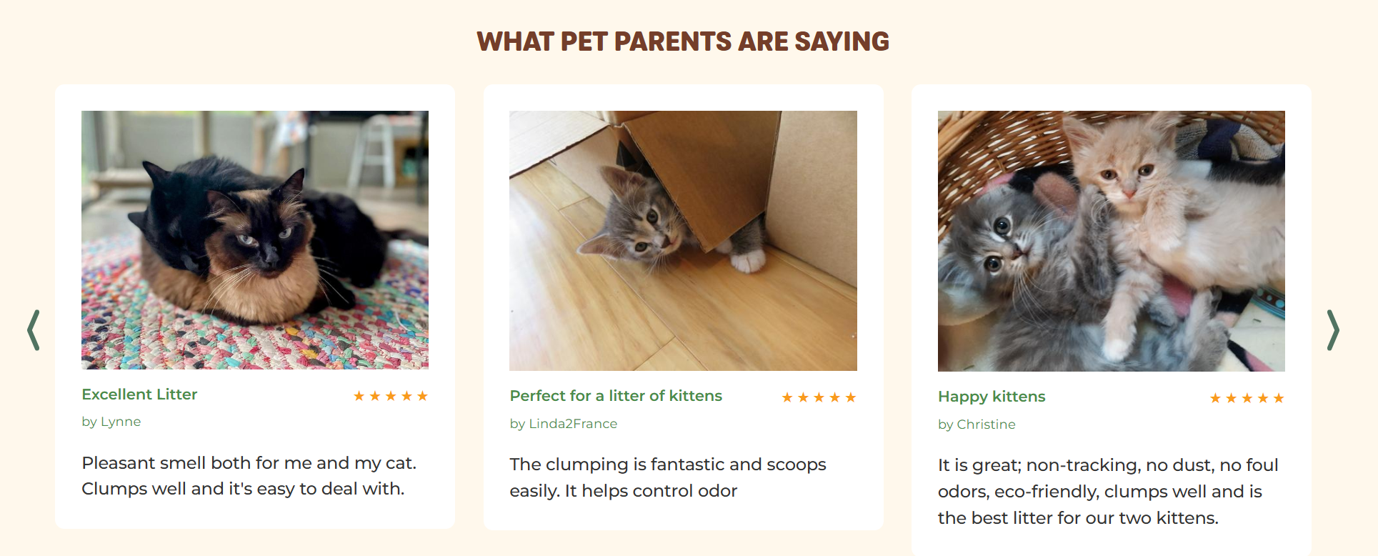 A webpage displaying three pet-related products with images of cats. The first image shows two cats resting on a colorful woven mat; the second shows a kitten peeking out from under a cardboard box; the third features three kittens cuddling in a basket.