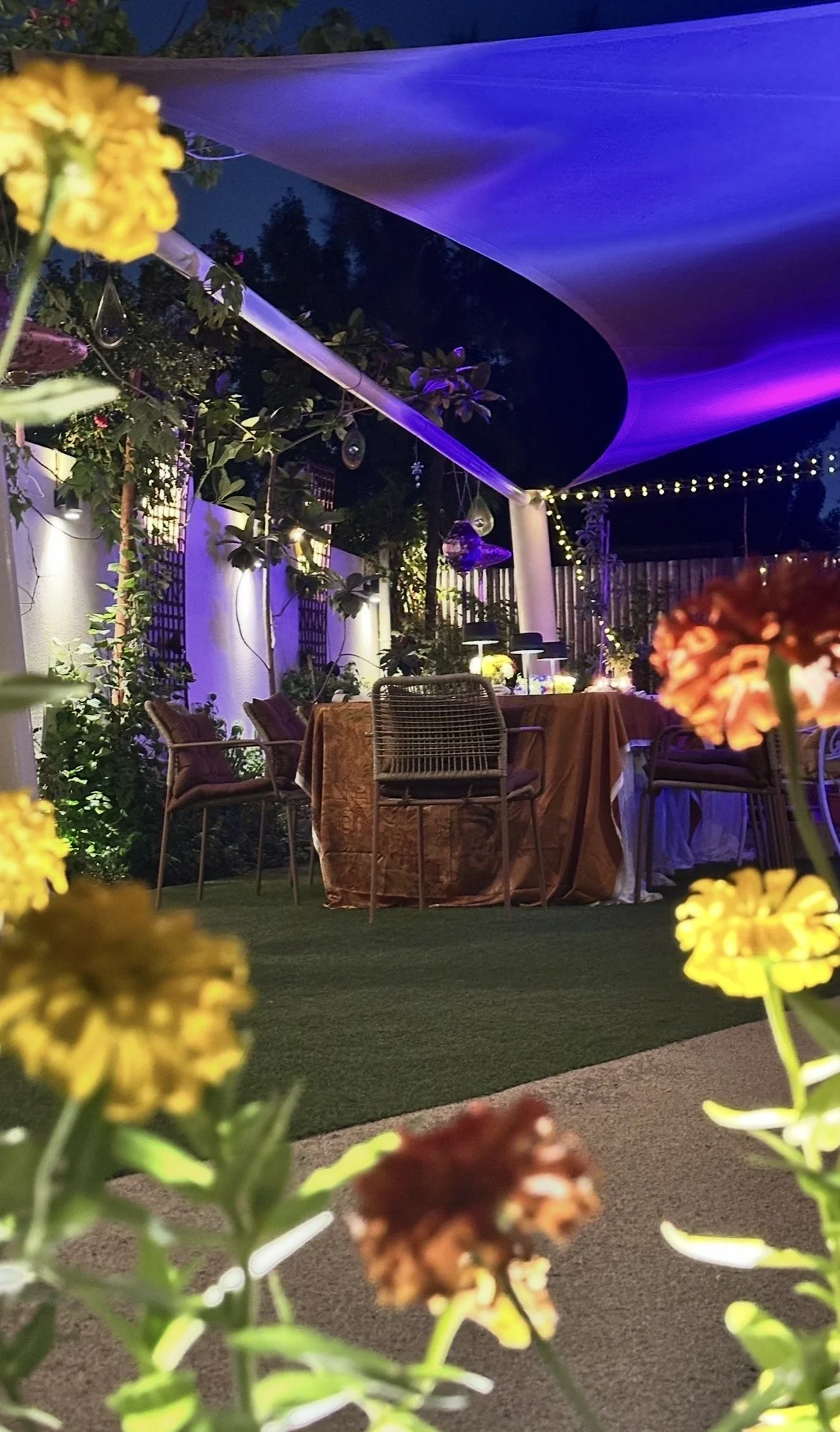 Nighttime outdoor dining area decorated with string lights and a fabric canopy, surrounded by plants and flowers, with tables and chairs set up for an event.