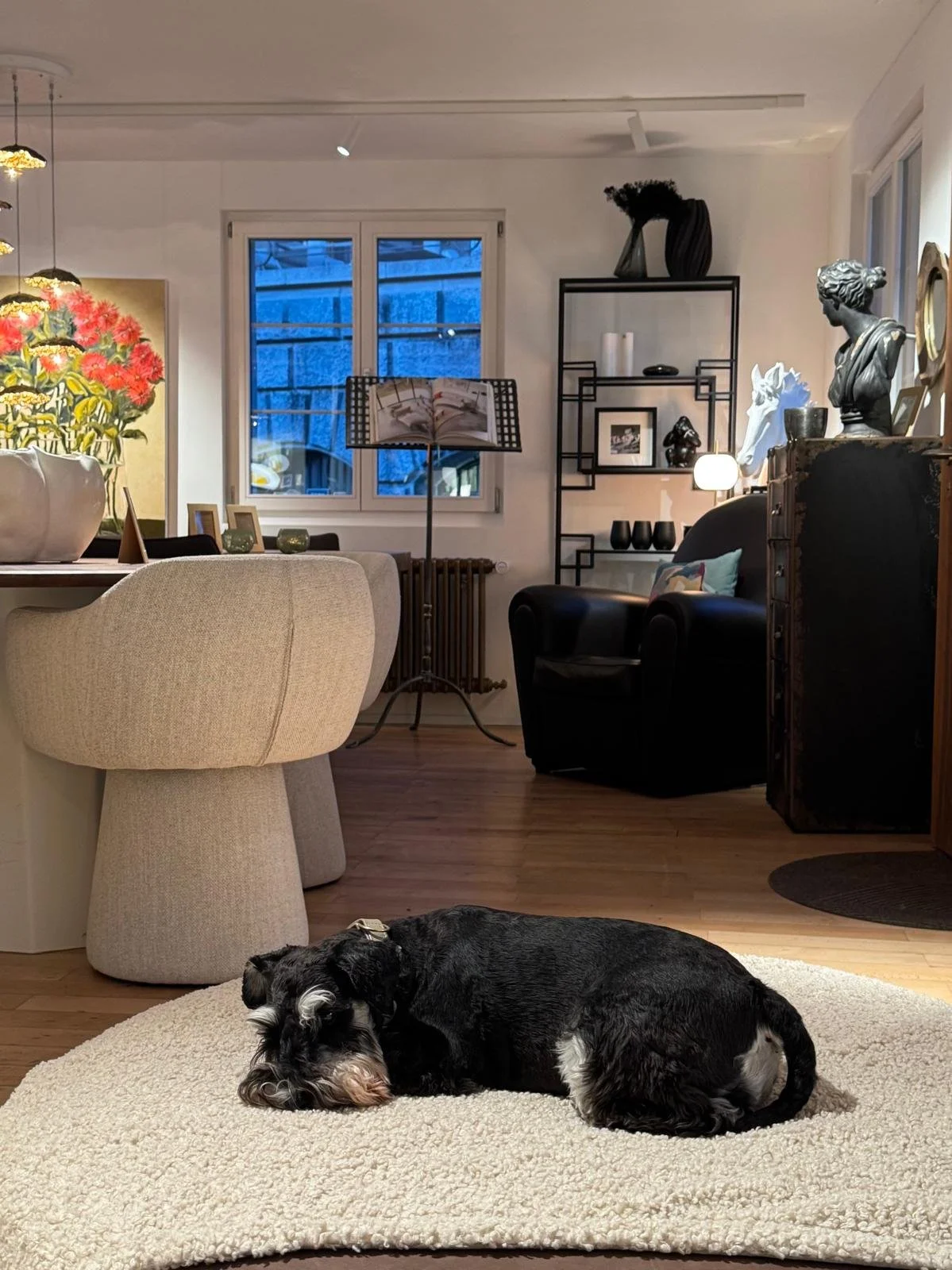 Ein Wohnzimmer mit stilvoller Dekoration, Couch, Kunstwerken und einer schwarzen und weißen Dogge, die auf einem hellen Teppich liegt.
