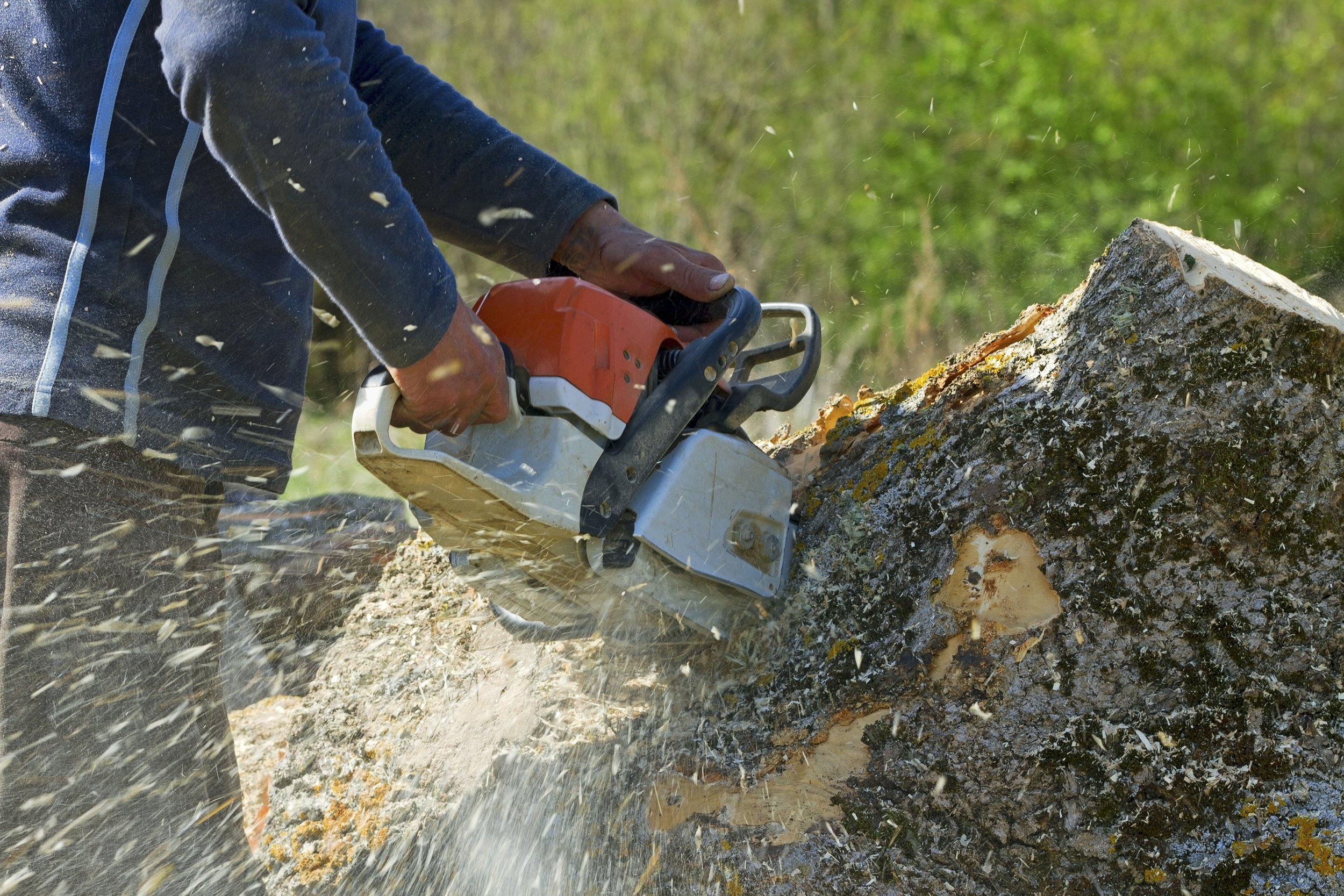 GettyImages-470335304.jpg
