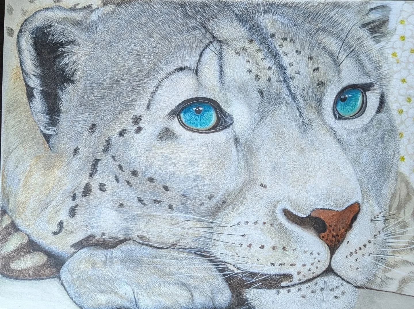 She's almost finished. Touch ups, clean up whiskers, tidy defining lines and she'll be ready for scanning for prints. 

She's taken approximately 120 hours so far 🐾🥰 Snow Leopards are so beautiful 😍 and the snow leopard violets were a fantastic fi