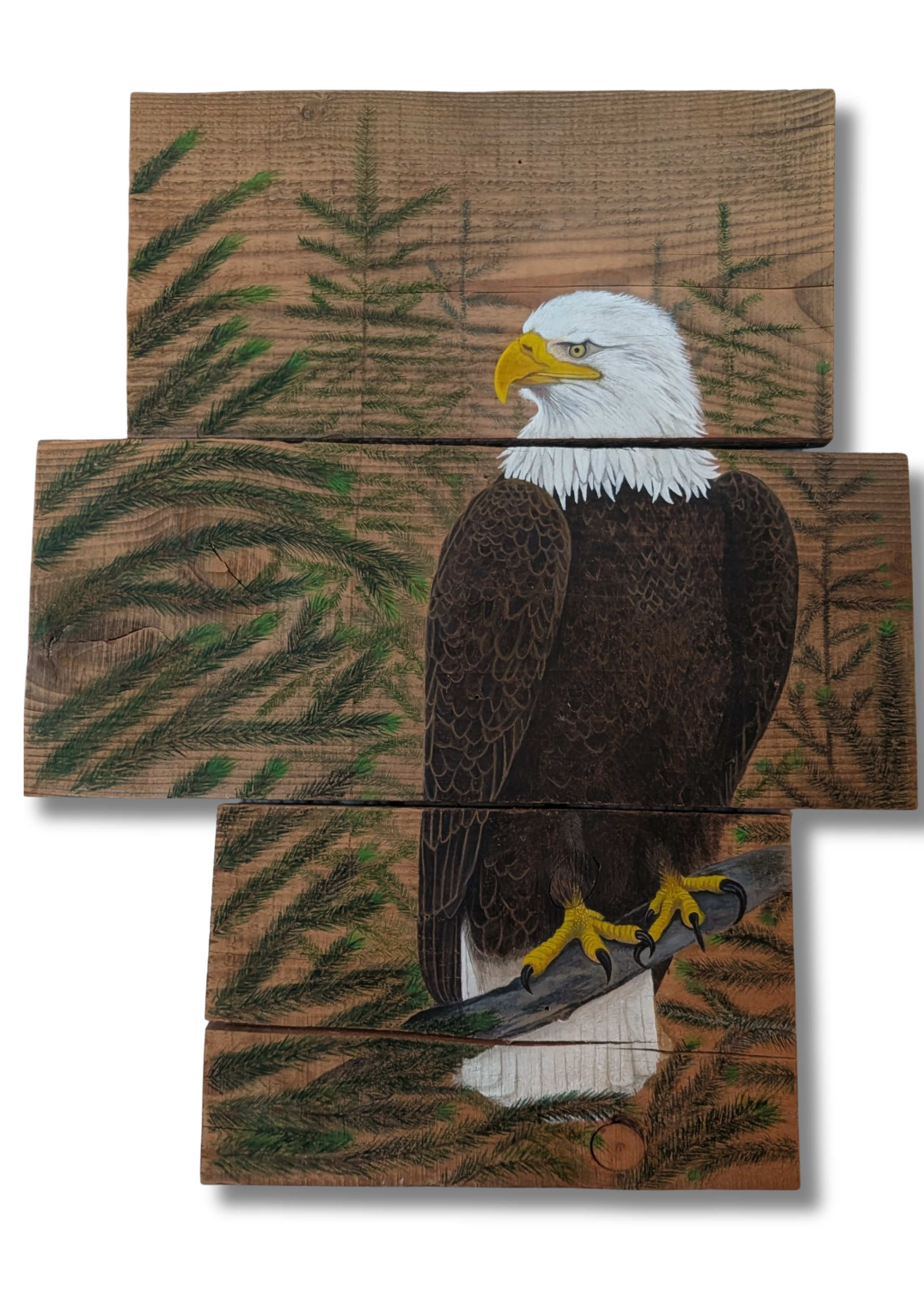 Untitled design (2).png