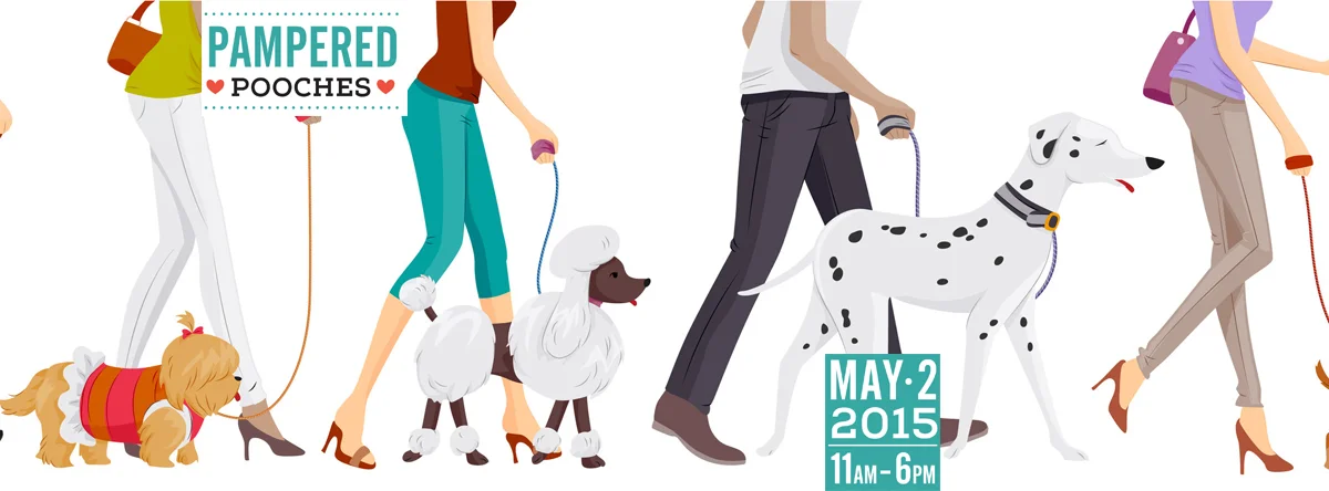 A celebration for the Toronto Urban Dog!