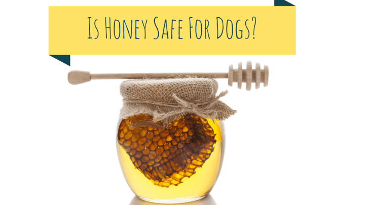 Give some Honey to your Hunny!