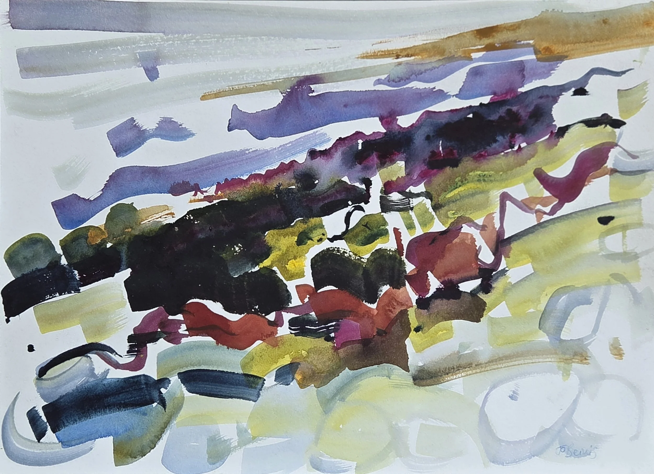 Seaweed Bembridge.jpg
