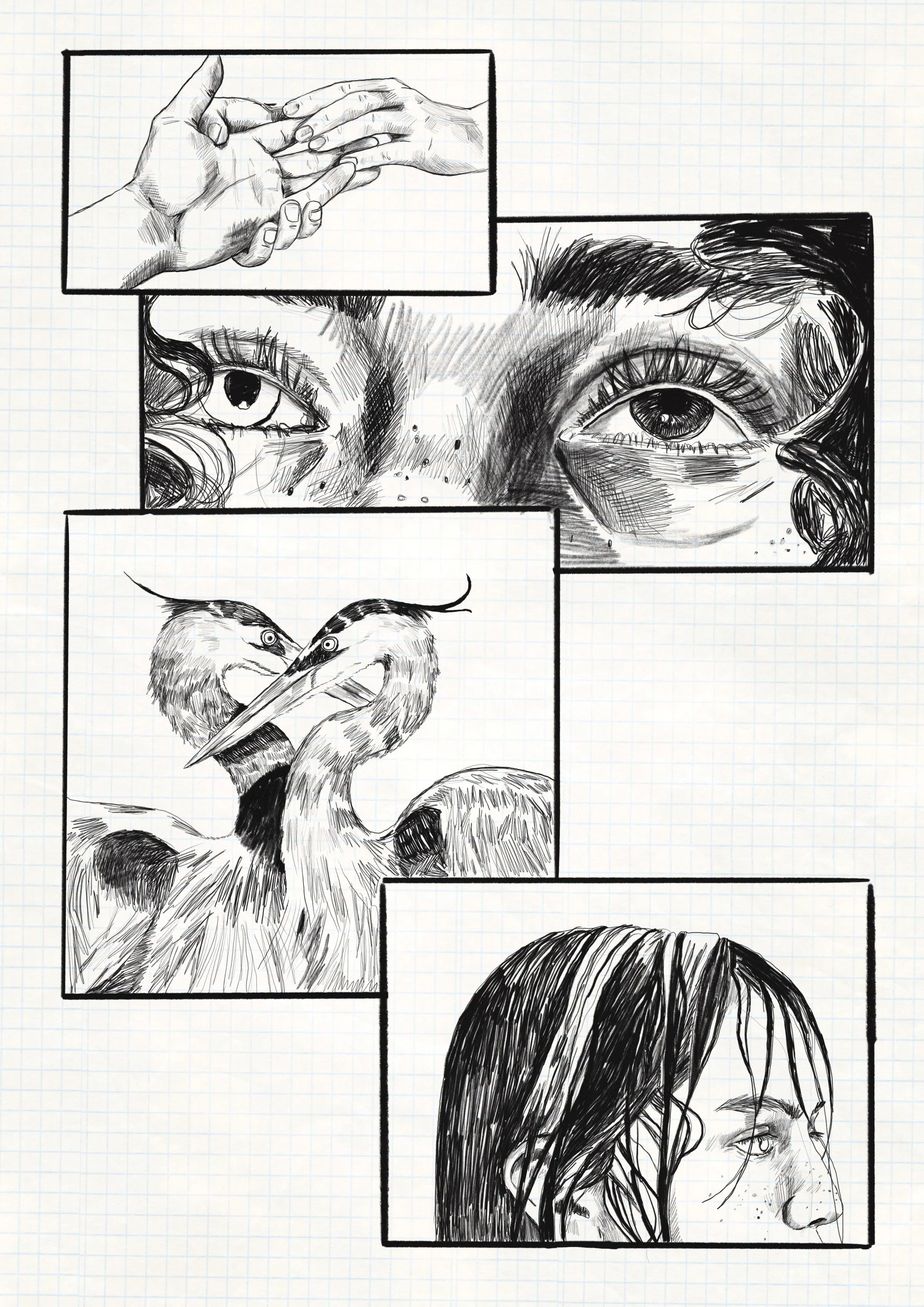 The Herons (2025) Digital Drawing, an experiment in sequential illustration