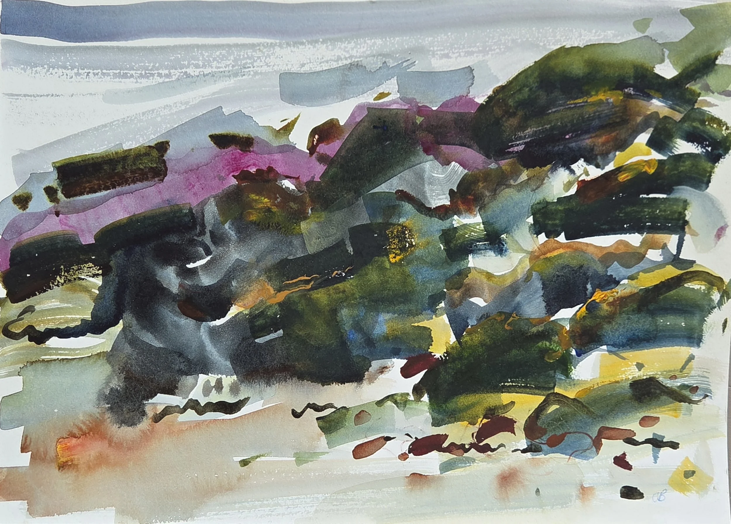 Seaweed watercolour.jpg