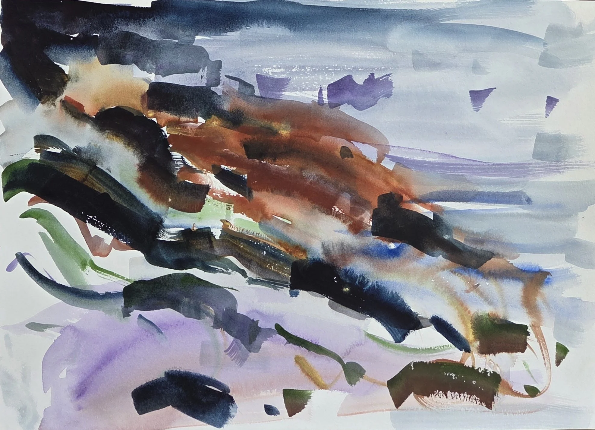 Bembridge seaweed .jpg