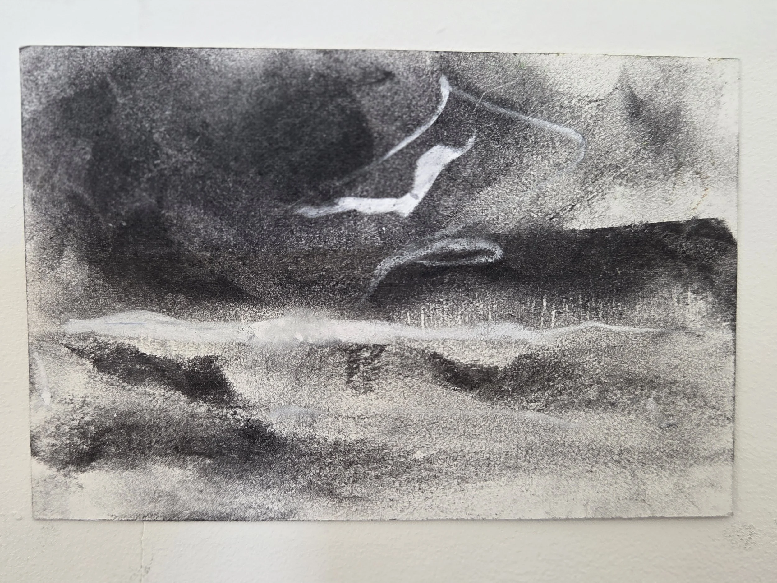 Charcoal study by Jo Bemis.jpg