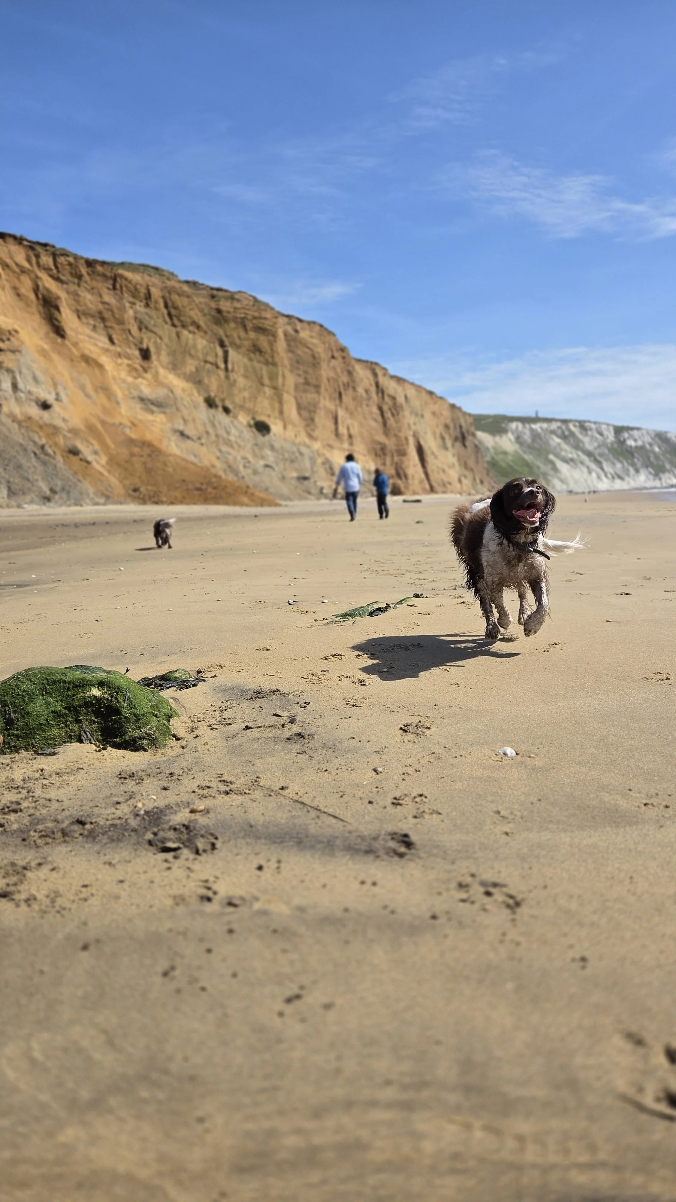 Yaverland Beach, Sandown..jpg