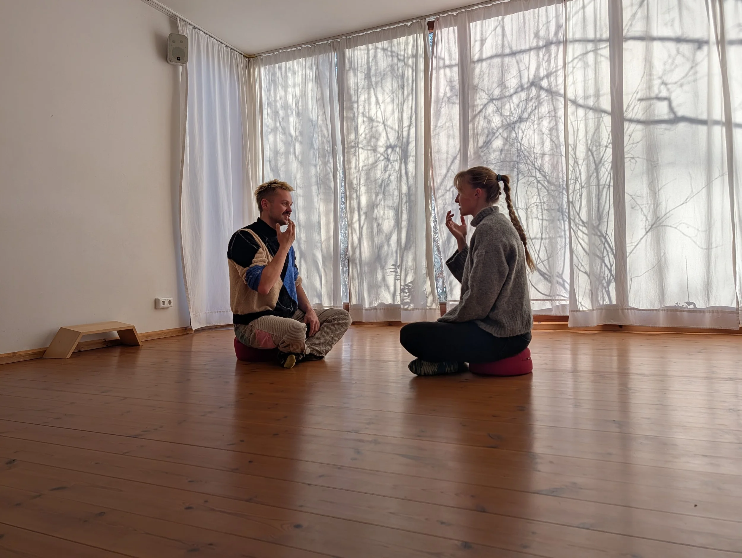 EFT-Prozesspaket (3 × Live & Begleitung)