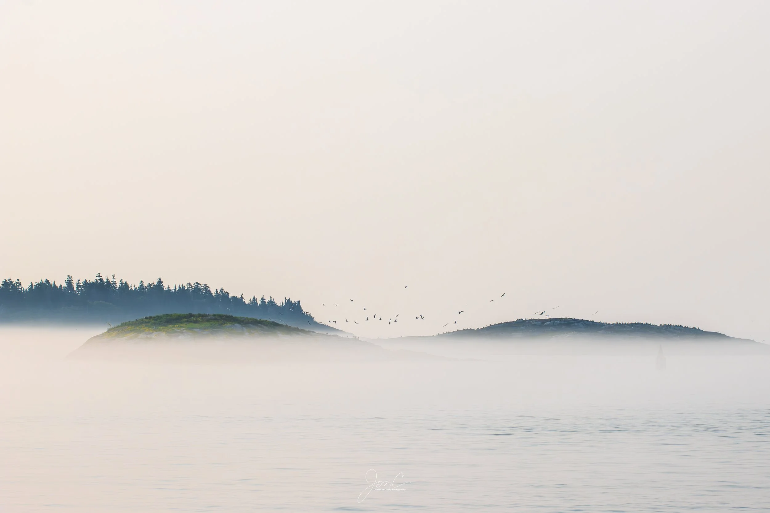 Fog Phippsburg, ME