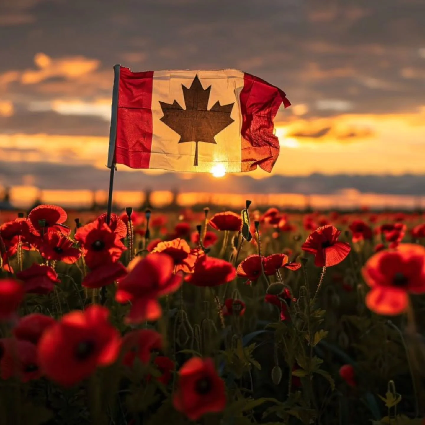 🇨🇦 Lest We Forget 🇨🇦

Today, we pause to remember the brave men and women who gave everything for the freedom and peace we cherish in this beautiful country we call home &mdash; Canada.

Their courage, sacrifice, and unwavering love for our natio