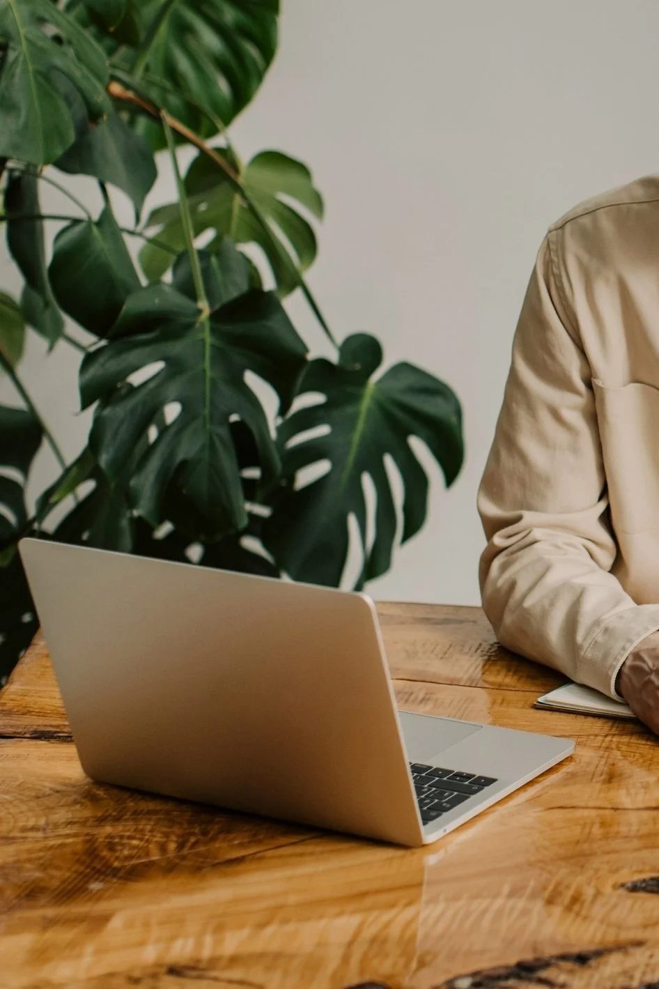 A person sitting at a wooden table with an open silver laptop, next to a large green monstera plant, with a neutral-colored wall in the background.