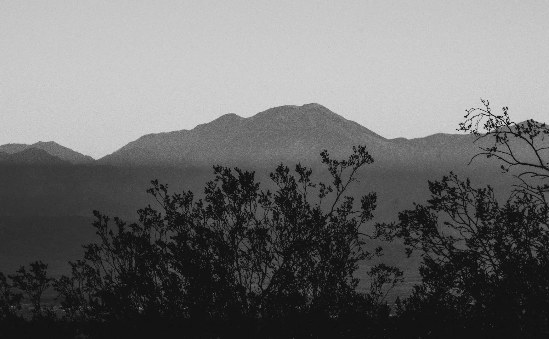 Silhouette of trees in foreground with mountains in background in black and white