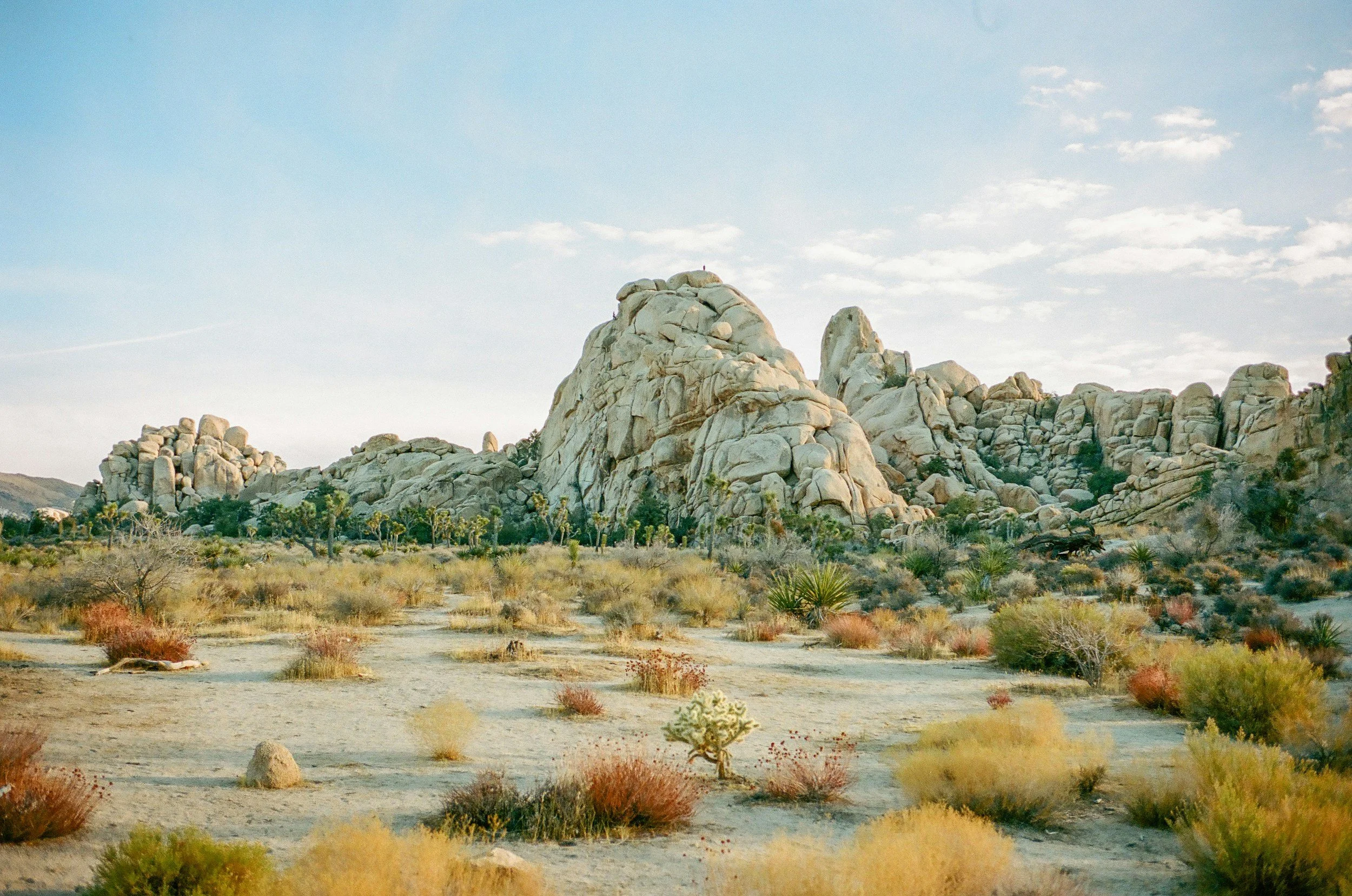 A desert landscape with large rocky formations, sparse desert vegetation, and a blue sky with some clouds.