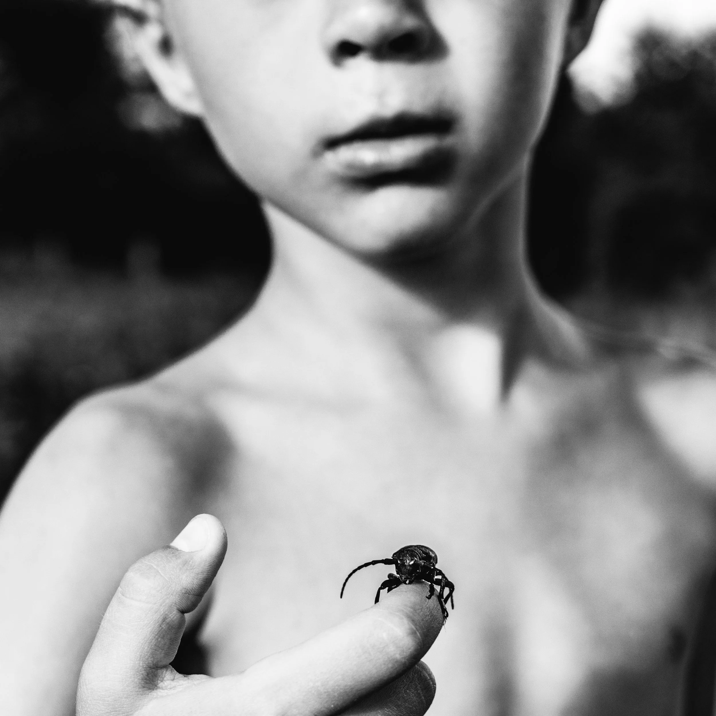 What Andrea Gibson’s Poem “Spider” Can Teach Us About Healing