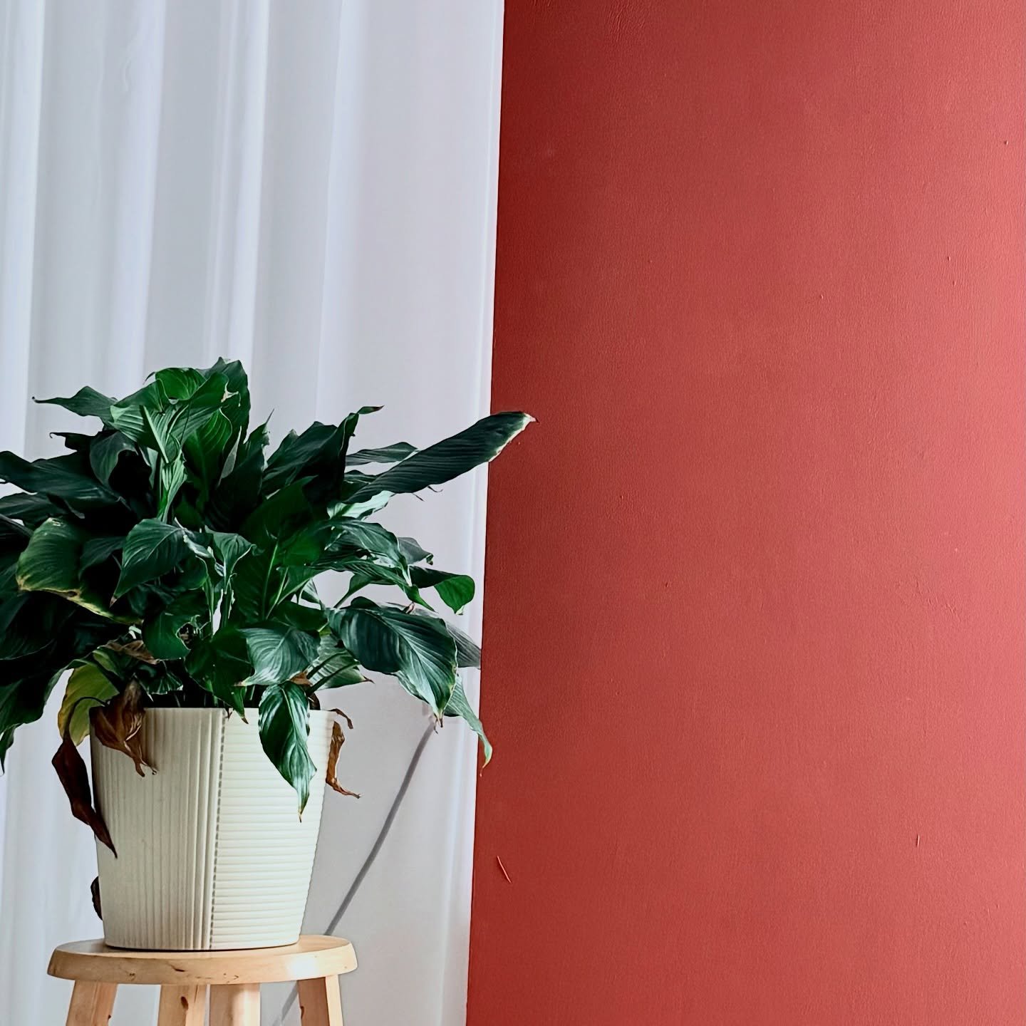 Soft textures, warm tones, and room to create
#mncreatives #minneapoliscreatives #maplegrovecreations #maplegrovephotographer #maplegrovemn