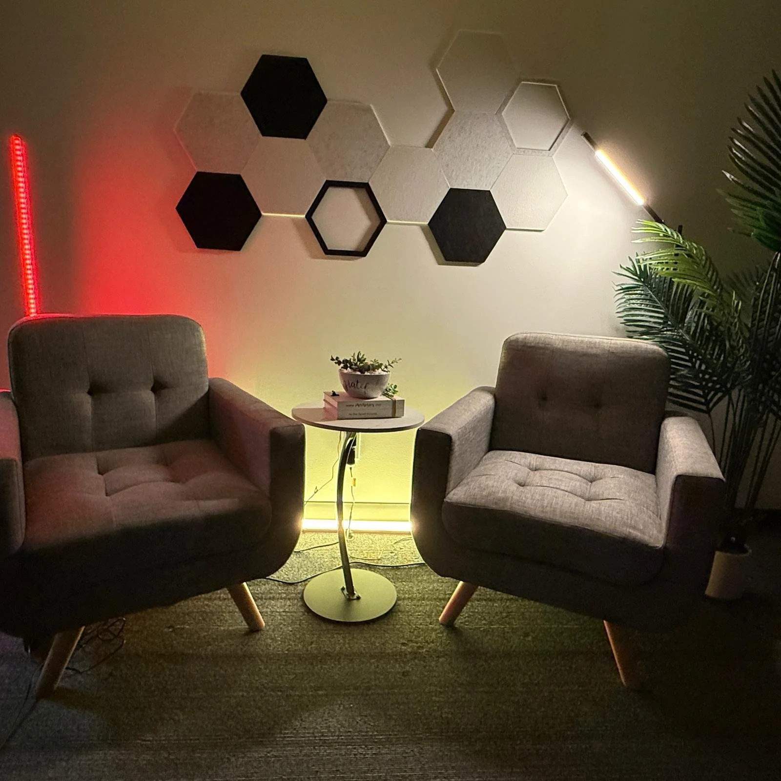 WhatsApp Image 2026-02-05 at 8.53.09 PM.jpeg