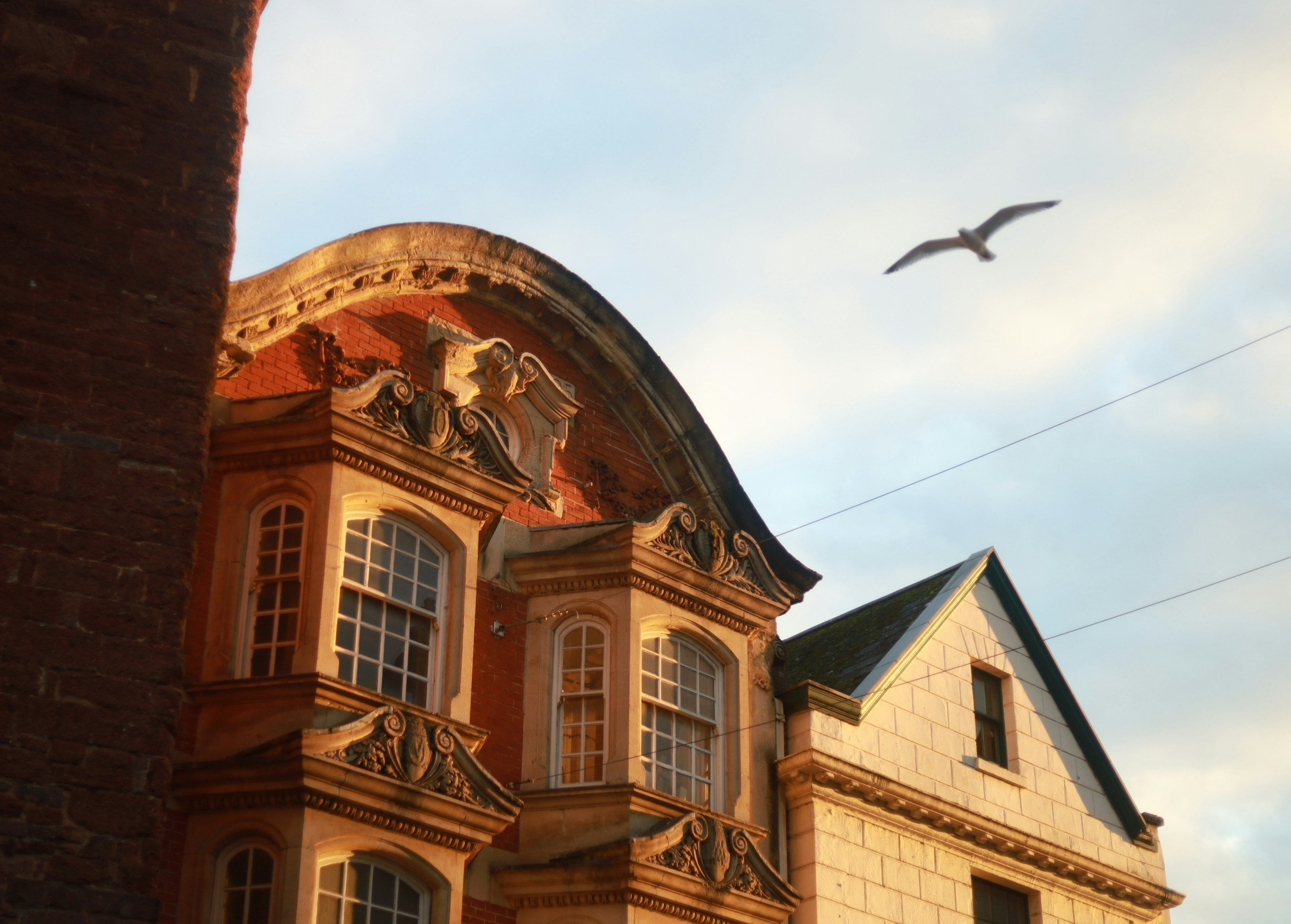 Close-up of an ornate historic building with large windows and decorative stone details, under a sky with a seagull flying overhead.
