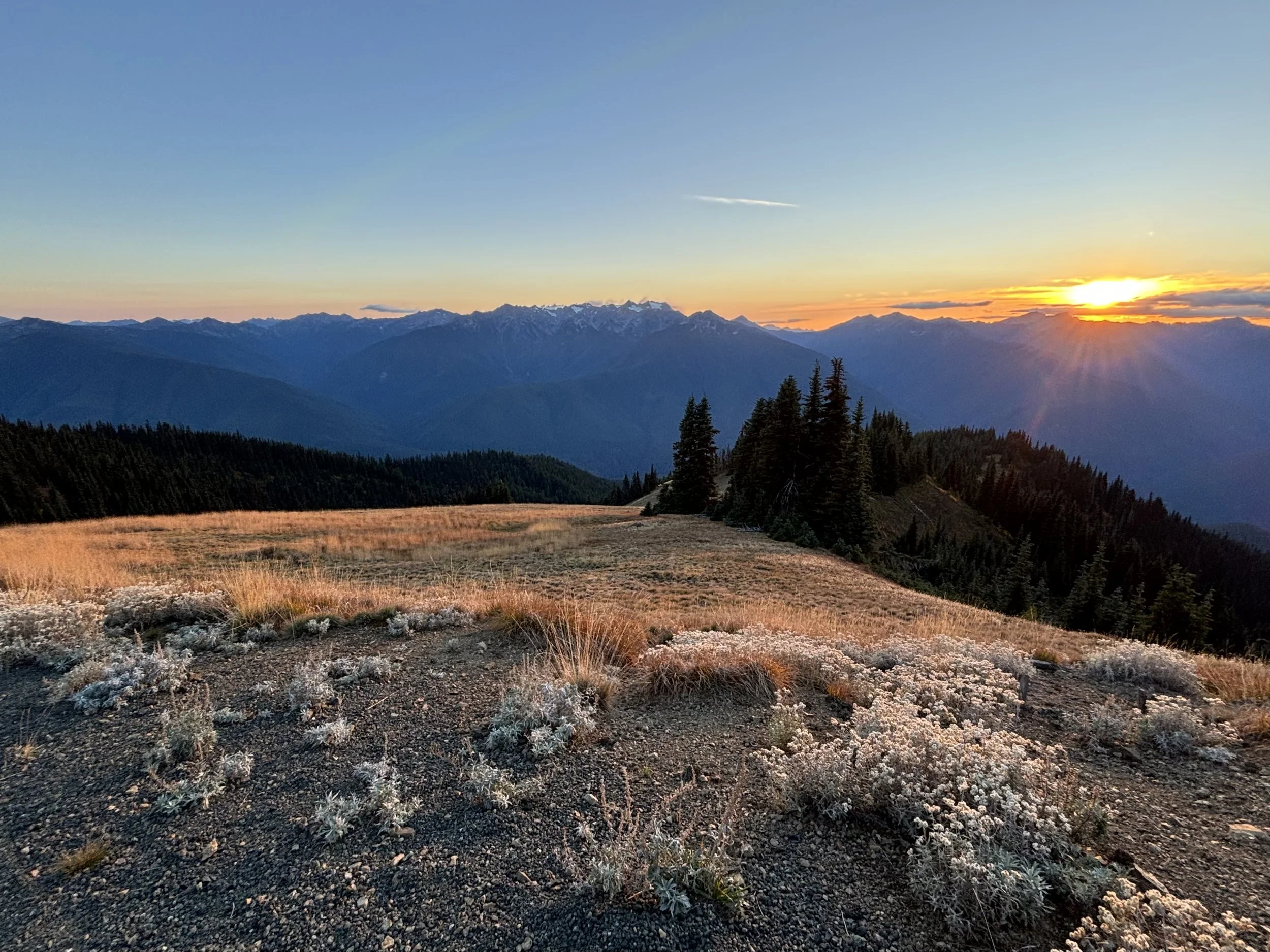 A scenic mountain landscape at sunset with snow-capped peaks, forested hills, and a grassy foreground.