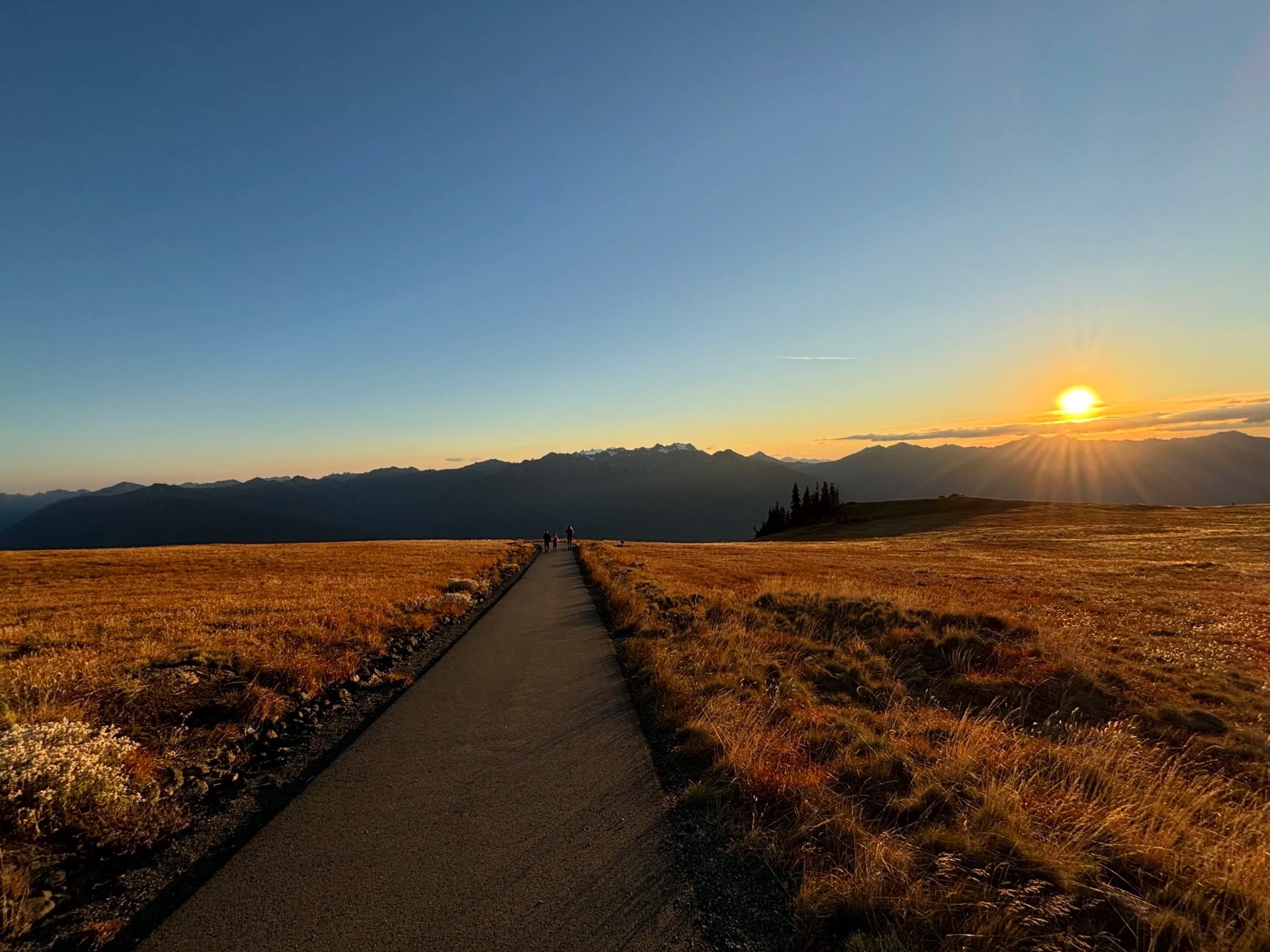 A paved walkway through a golden field at sunset with mountains in the background and four people walking in the distance.