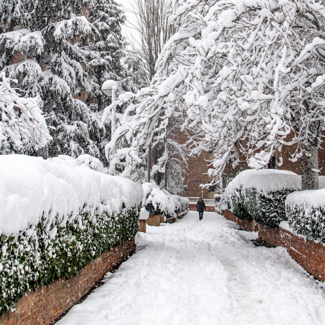 You Are Not Alone In The Storm